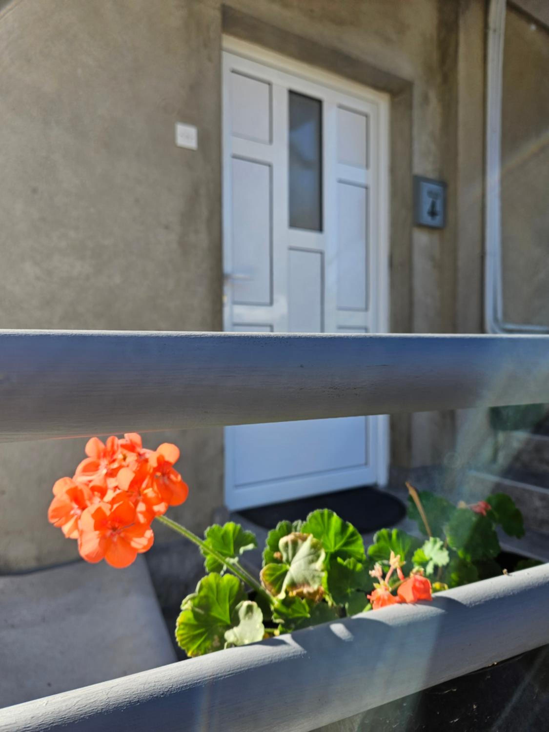 Apartman Gajic