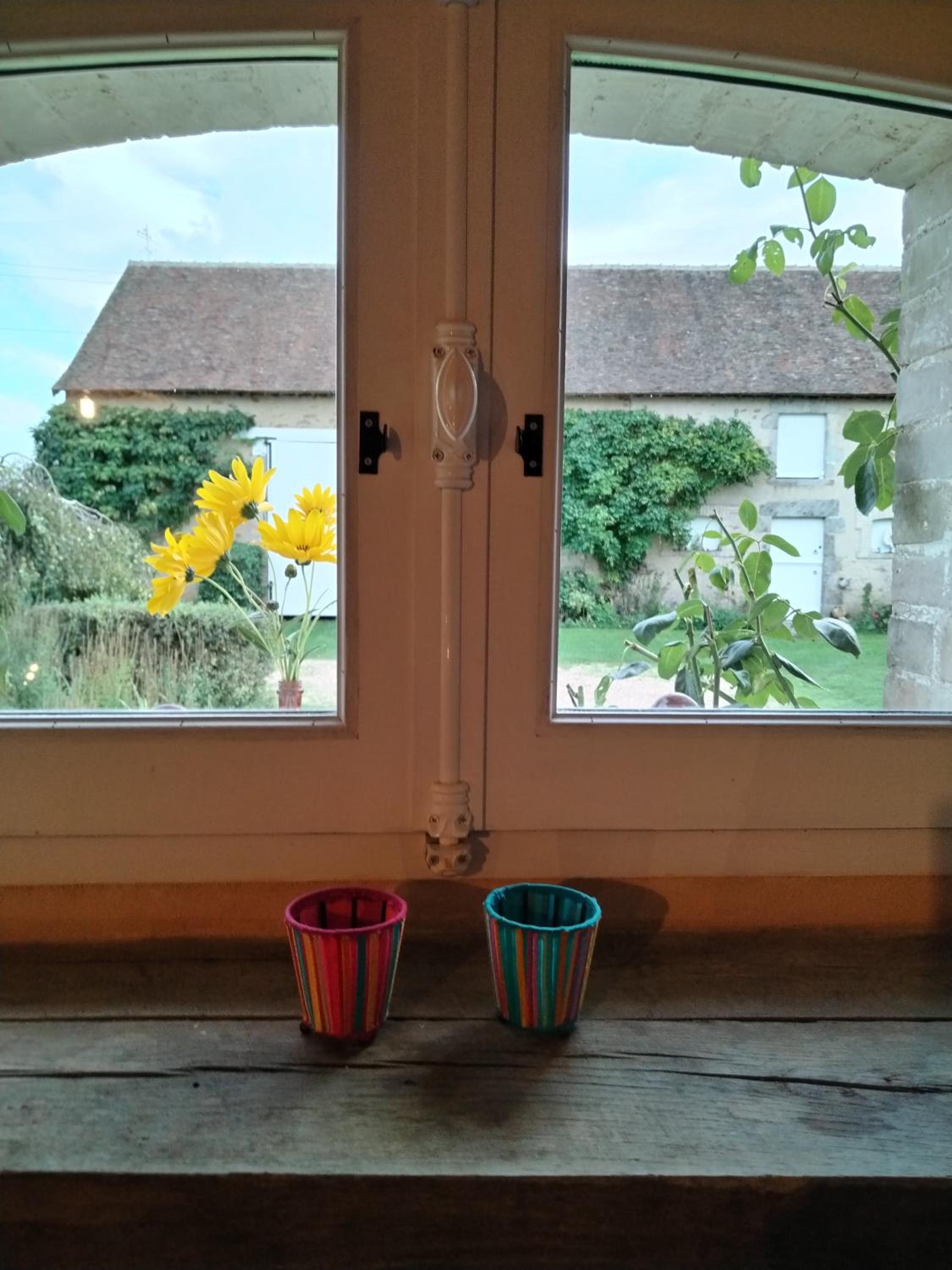 Photo 19
