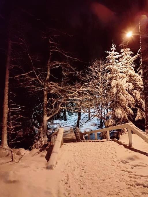 Paritalohuoneisto keskustassa