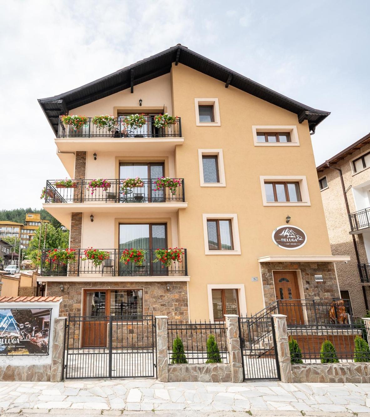 Beluga Guest House