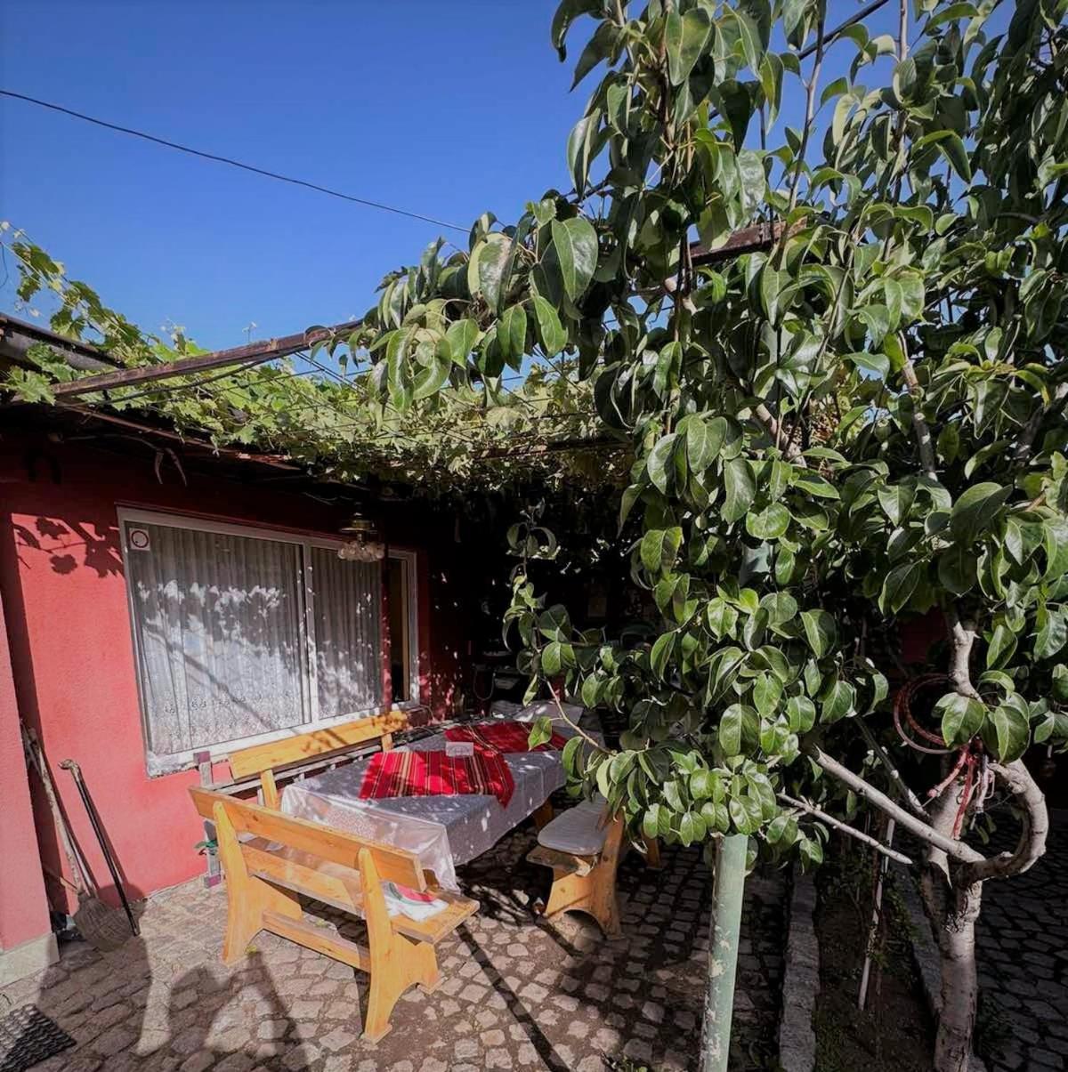 Tainov House