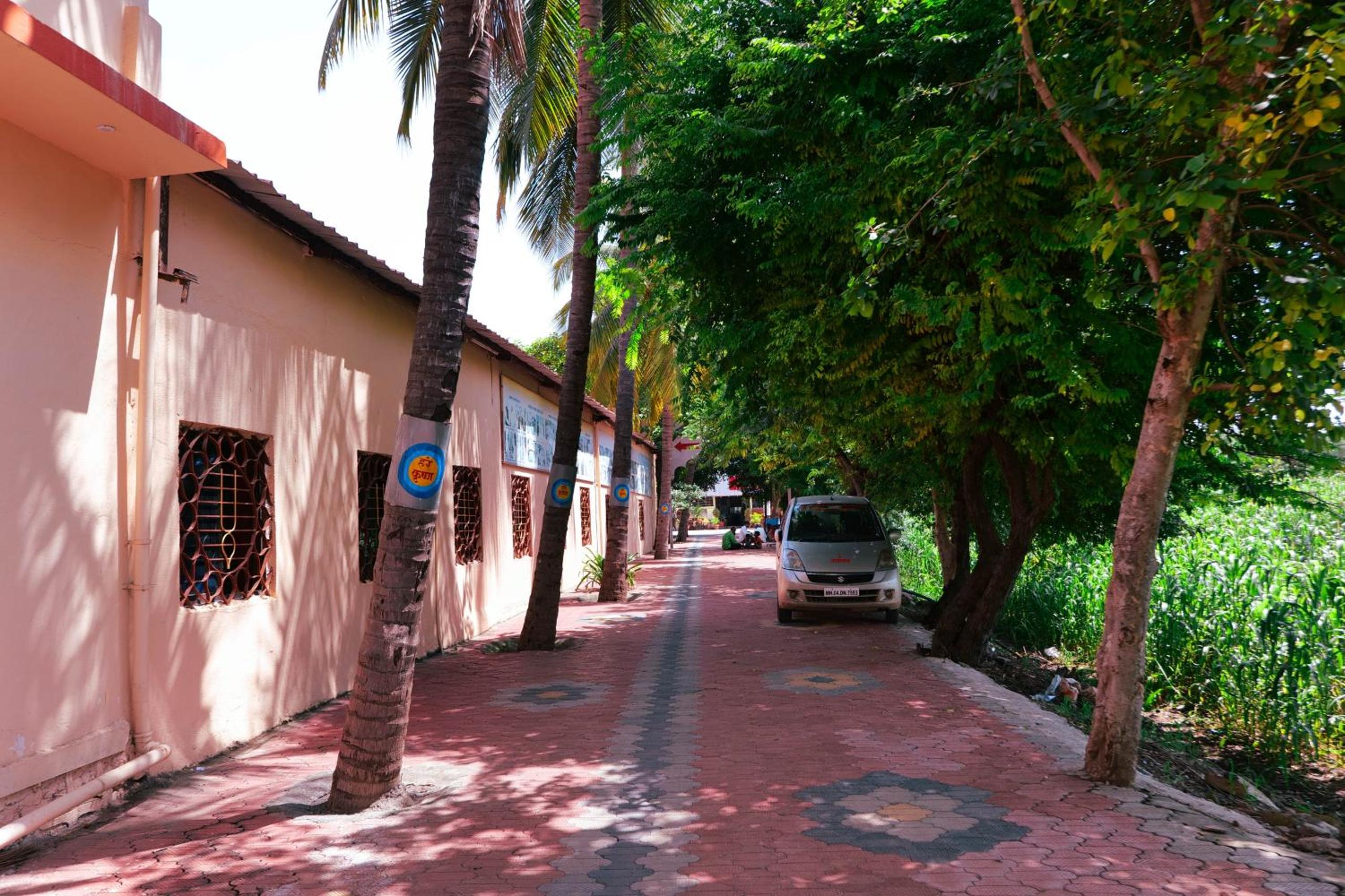 Photo 19