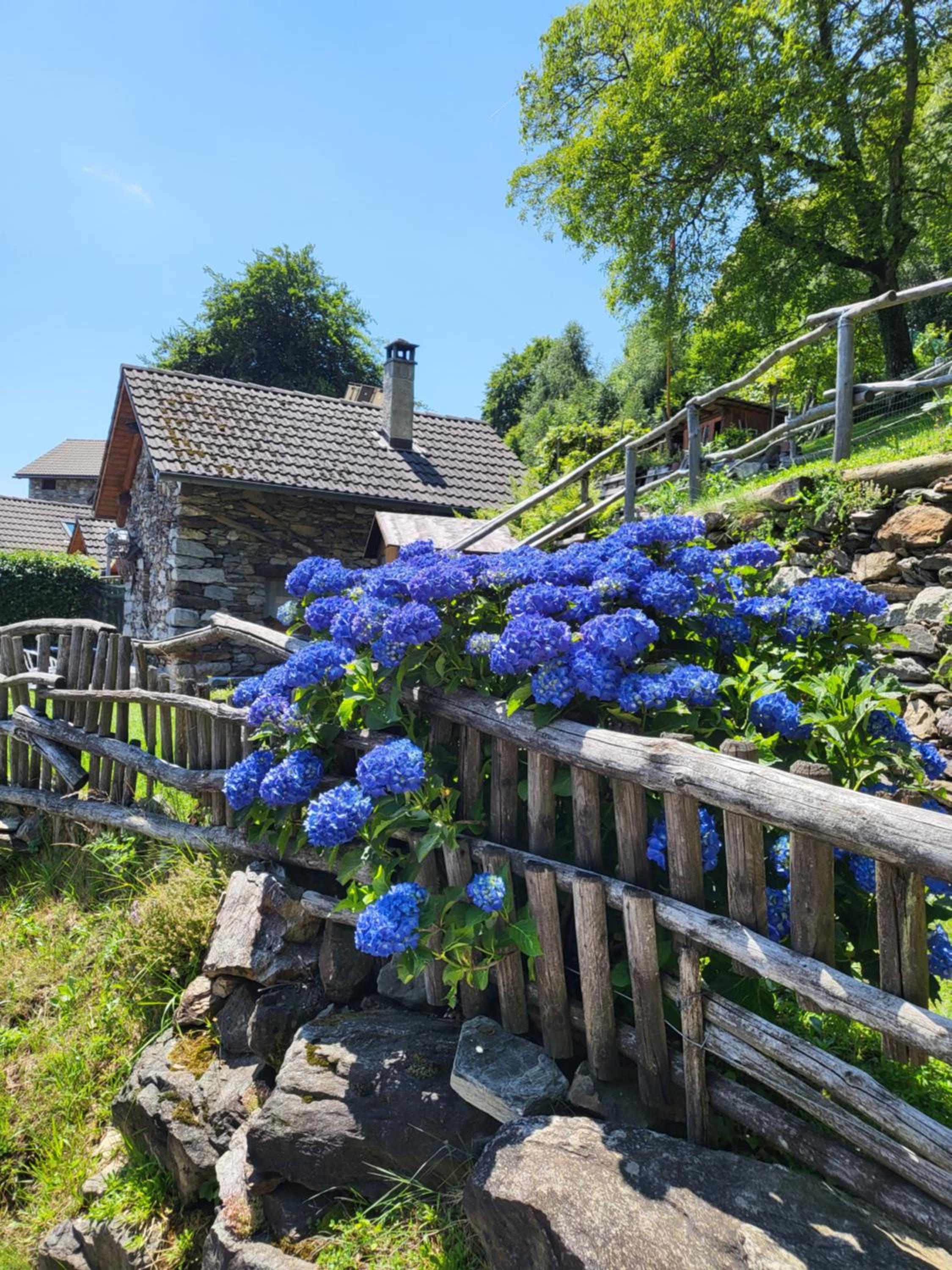 Casa Poiana