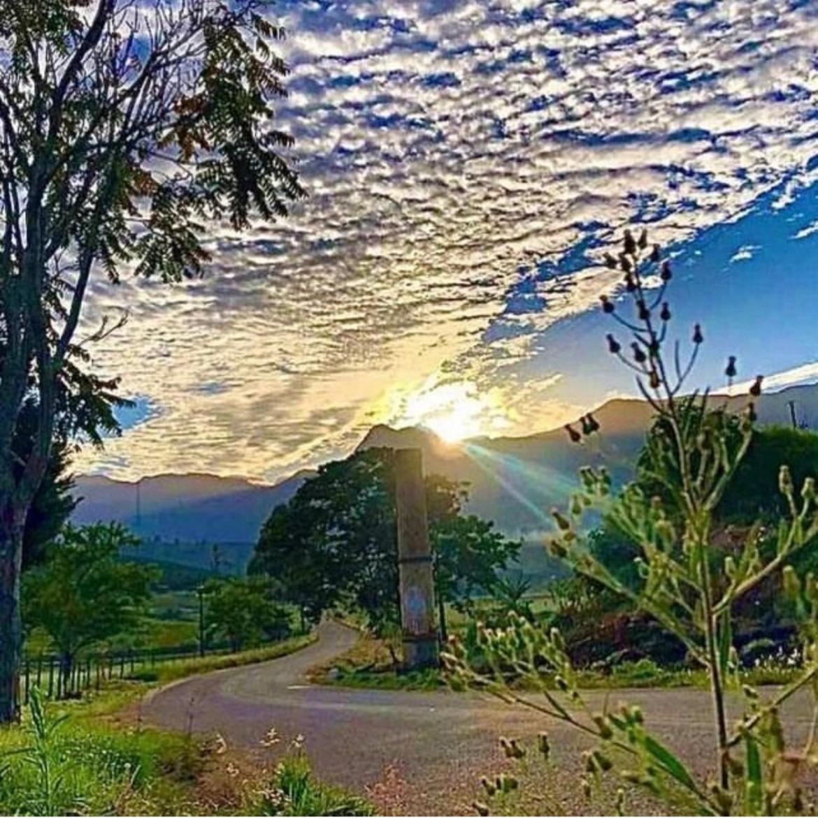 Refúgio do ipê (pico da bandeira)