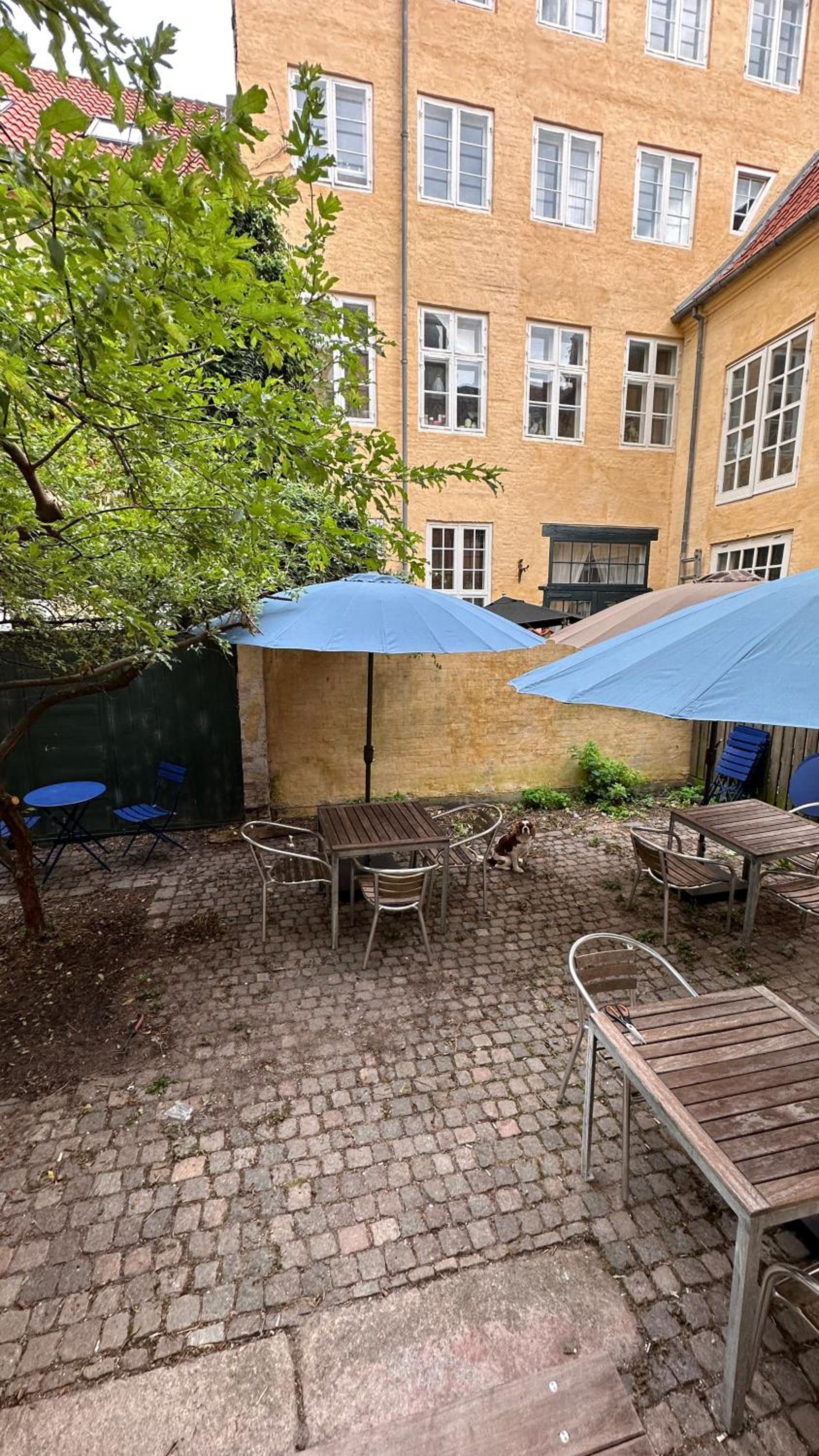 Fantastiske Christianshavn