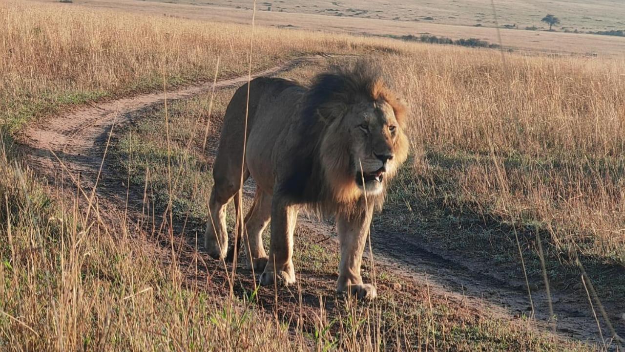 Osikinai mara guest house view 3