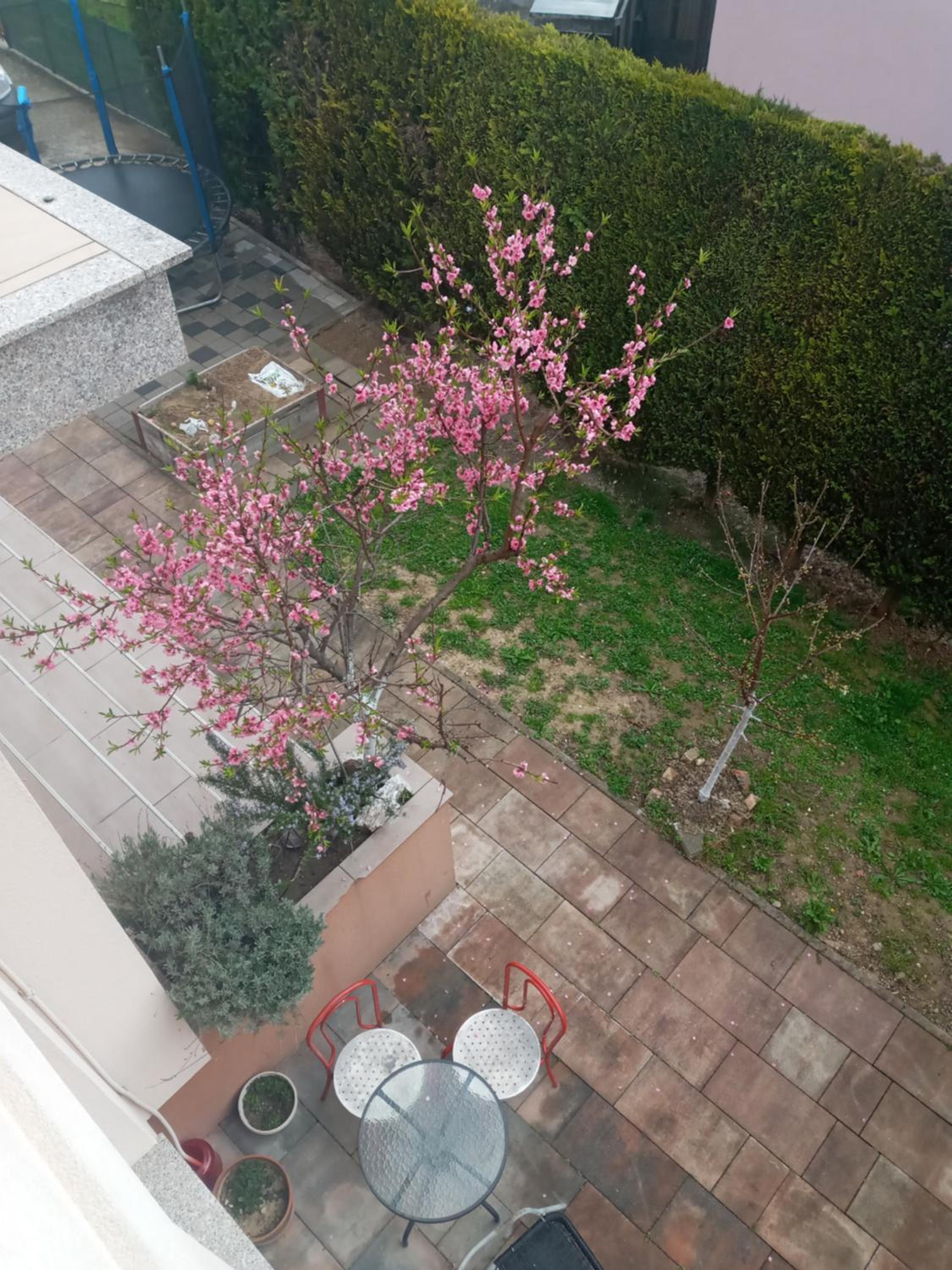 Apartmens LAMA