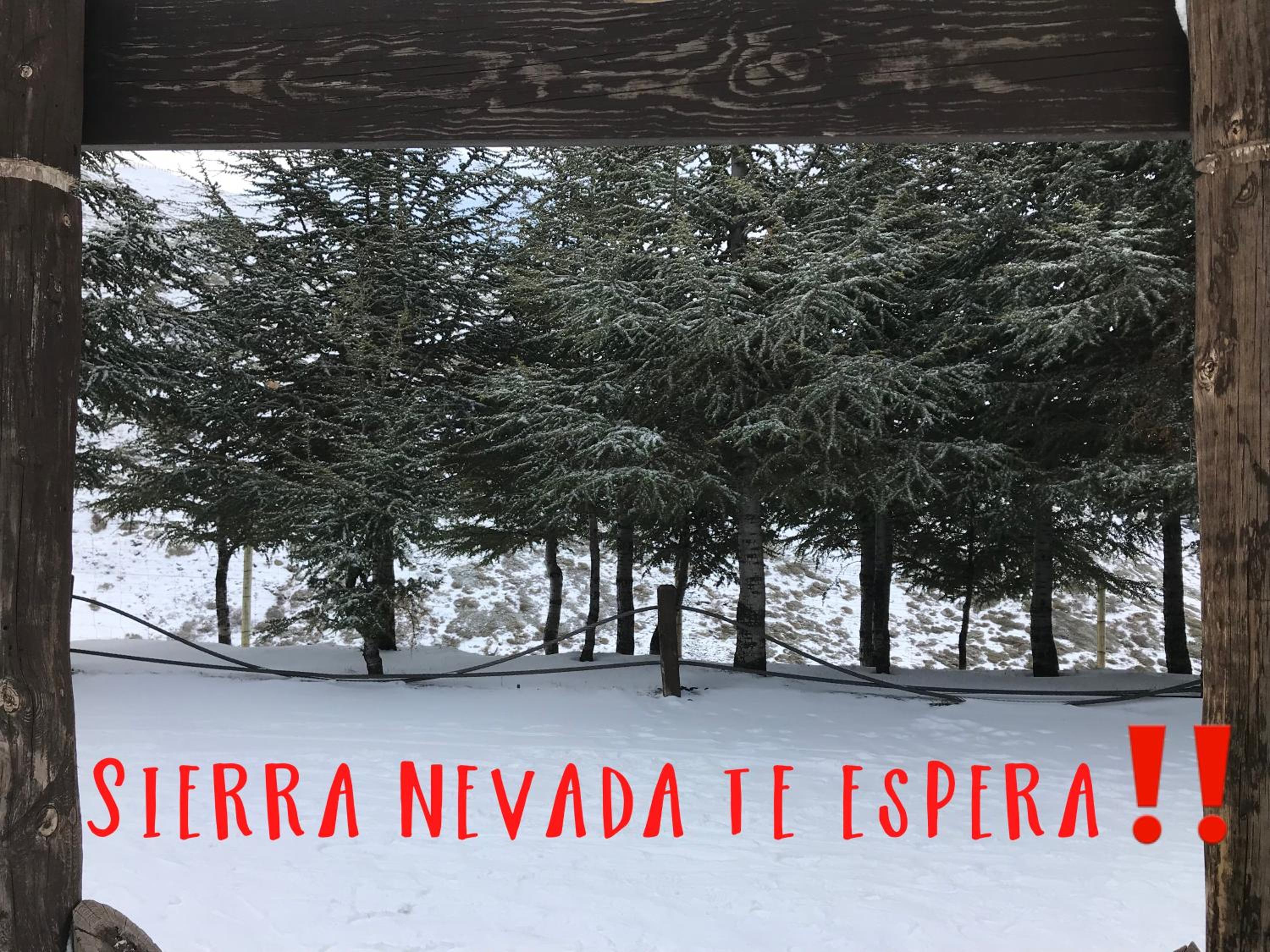 Inside Plaza Sierra Nevada