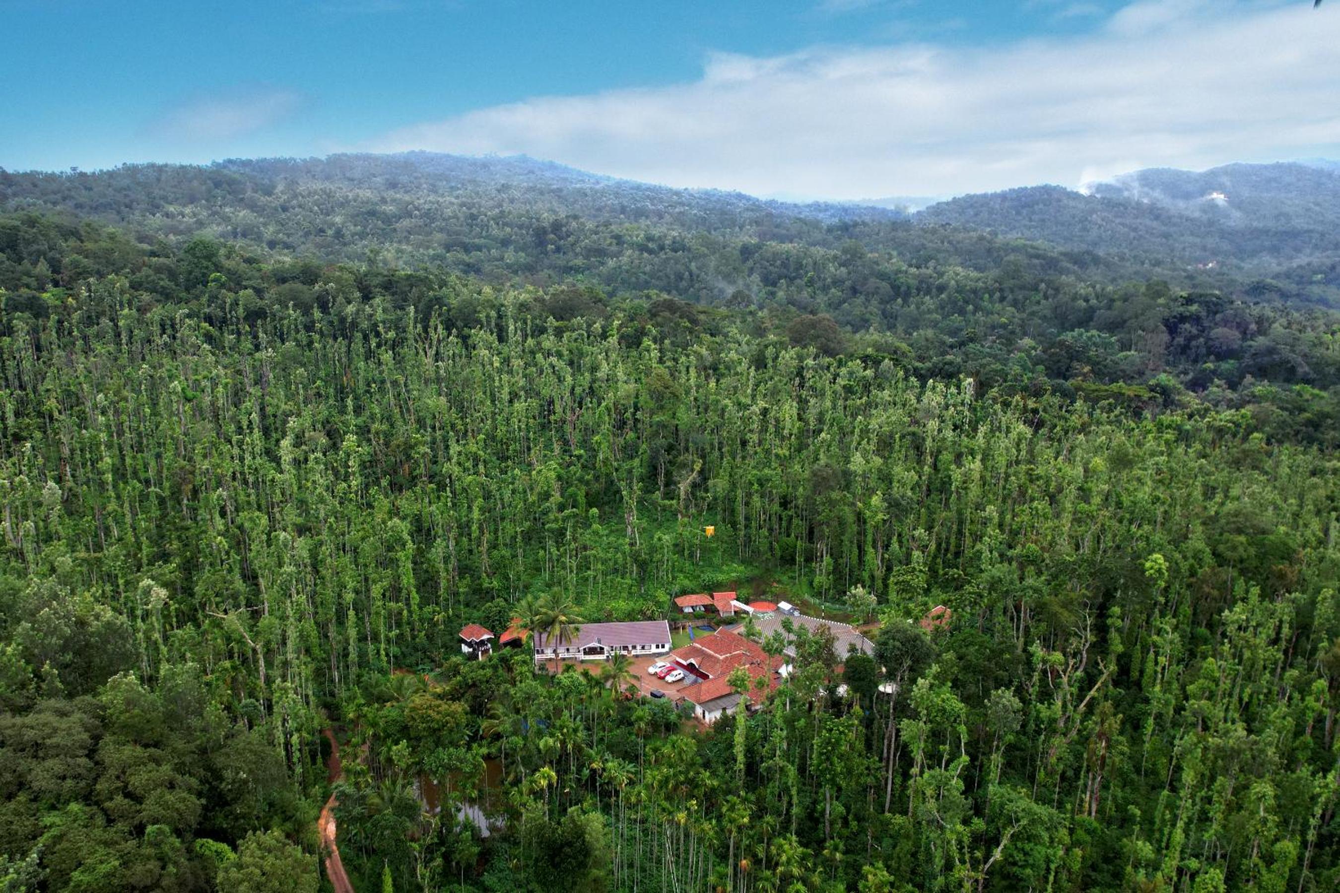 Jungle Greens Homestay - Private Cottage, 150Y Old Estate view 5