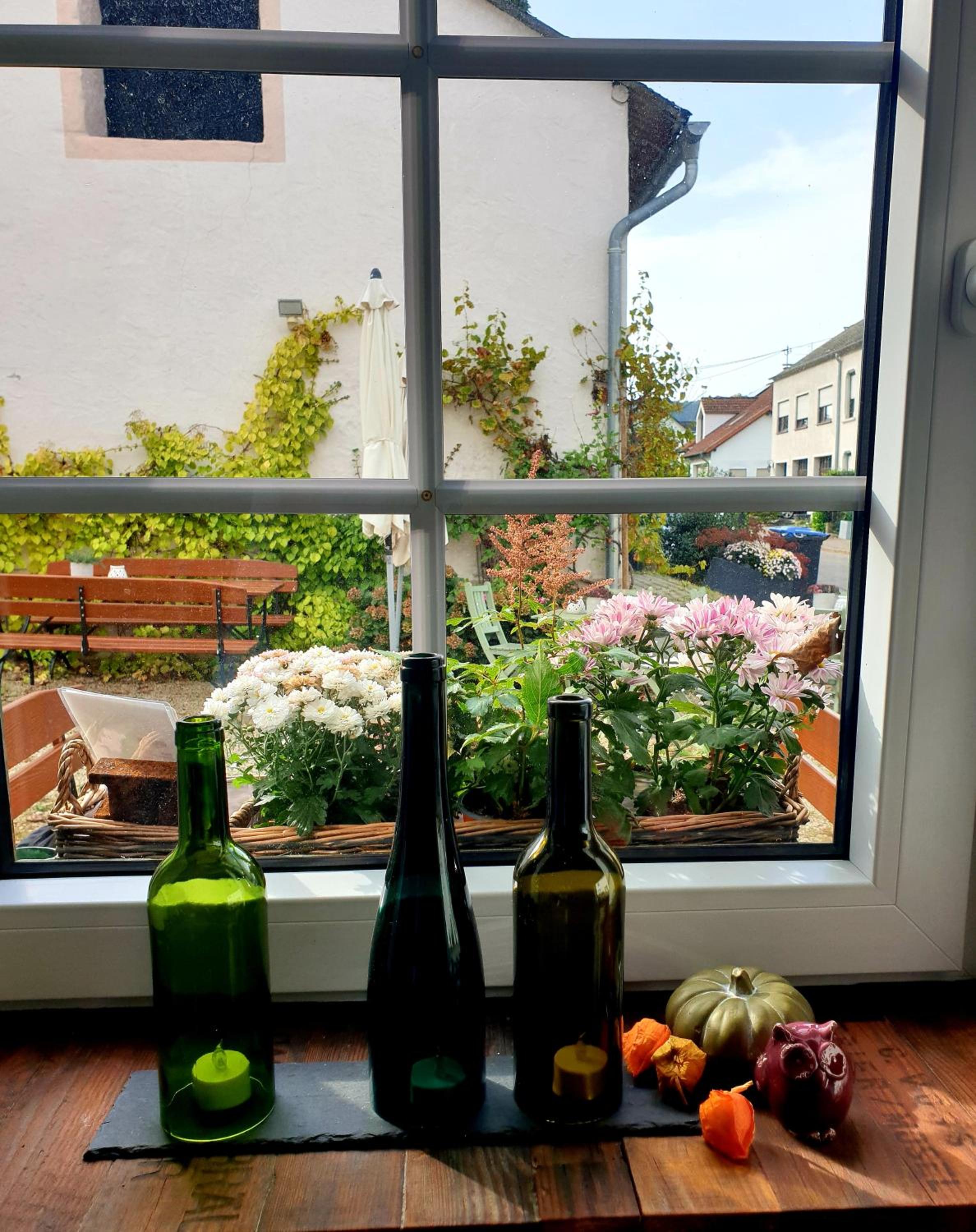 Zur alten Rebe Ferienhaus und Weingut