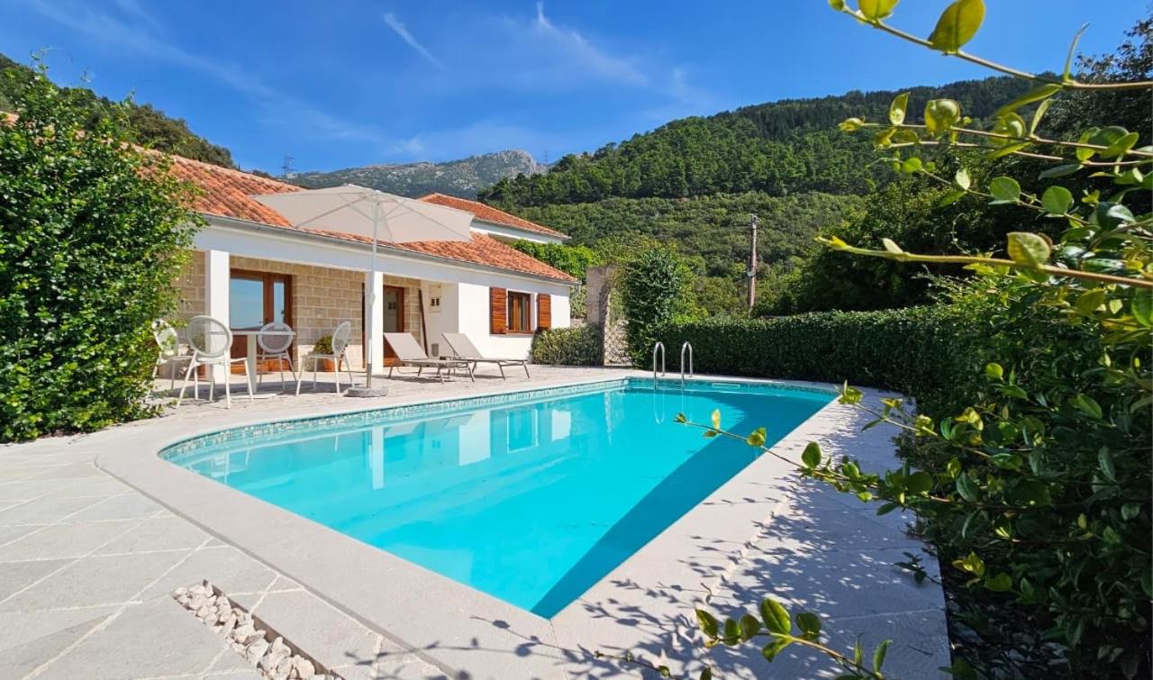 Villa Ava Kotor photo 2