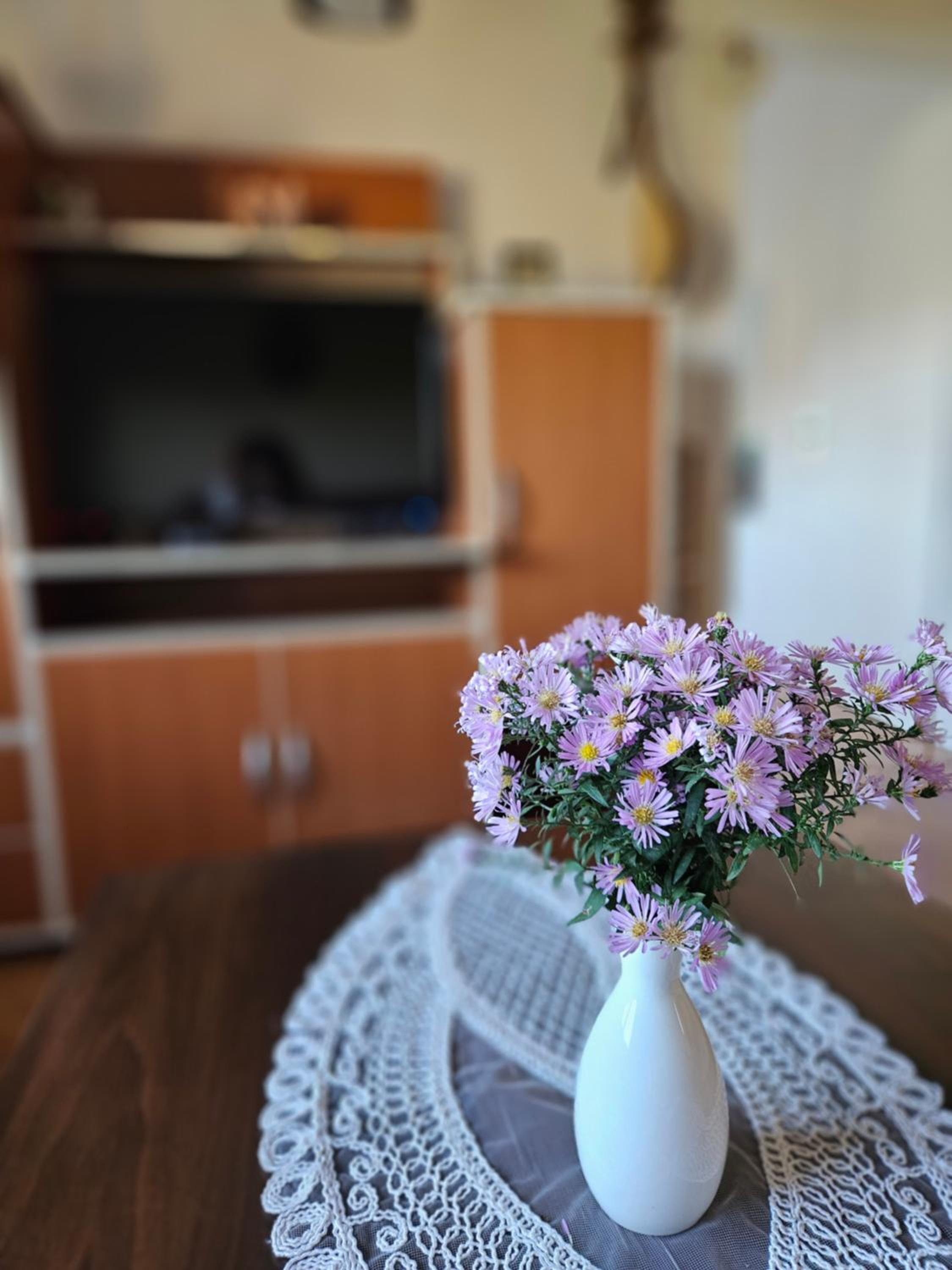 Apartman Gajic