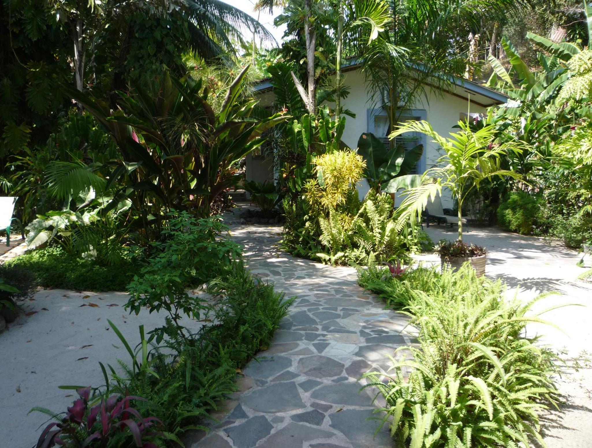 Photo 42