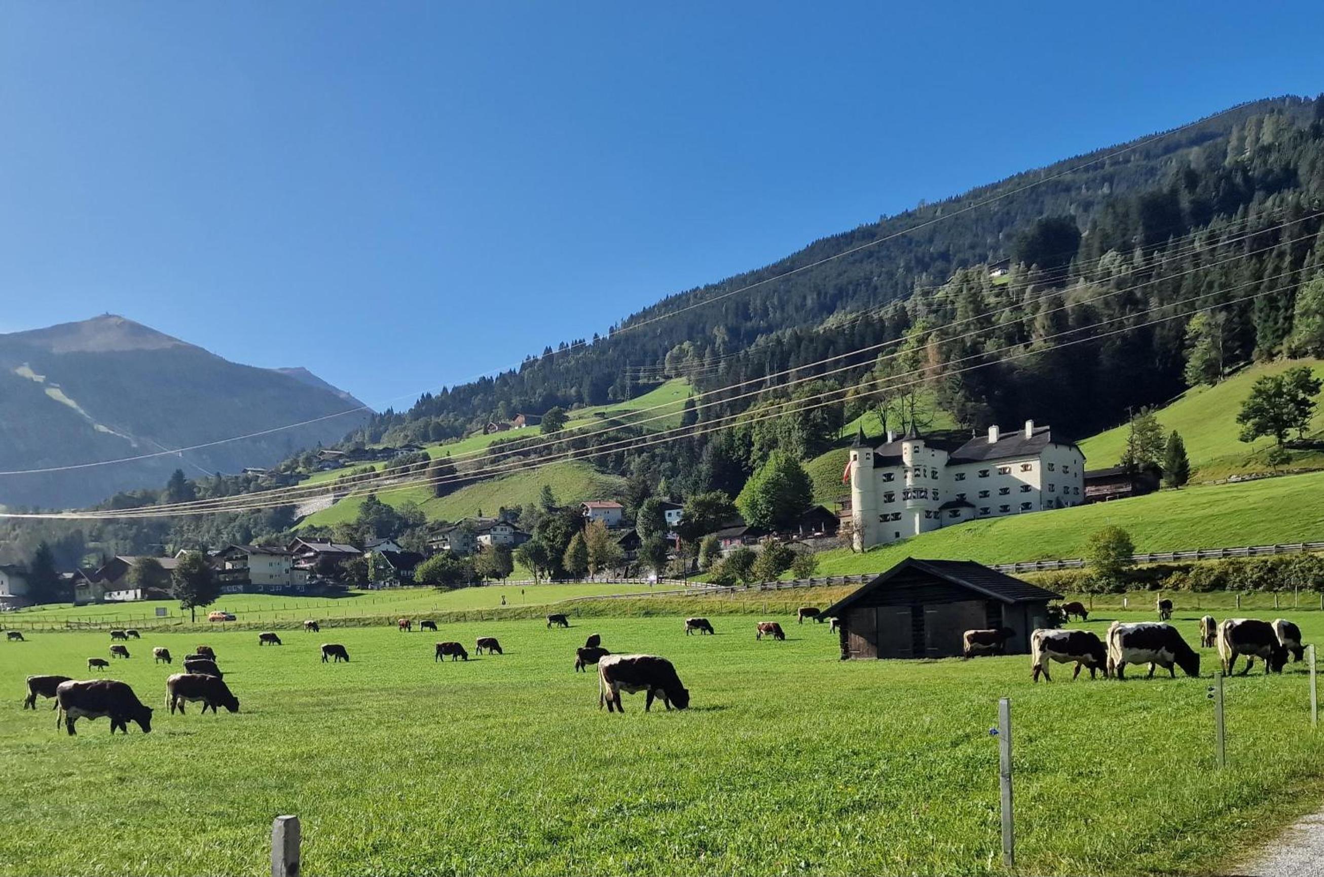 Sonnhof-Christianhof, Appartement