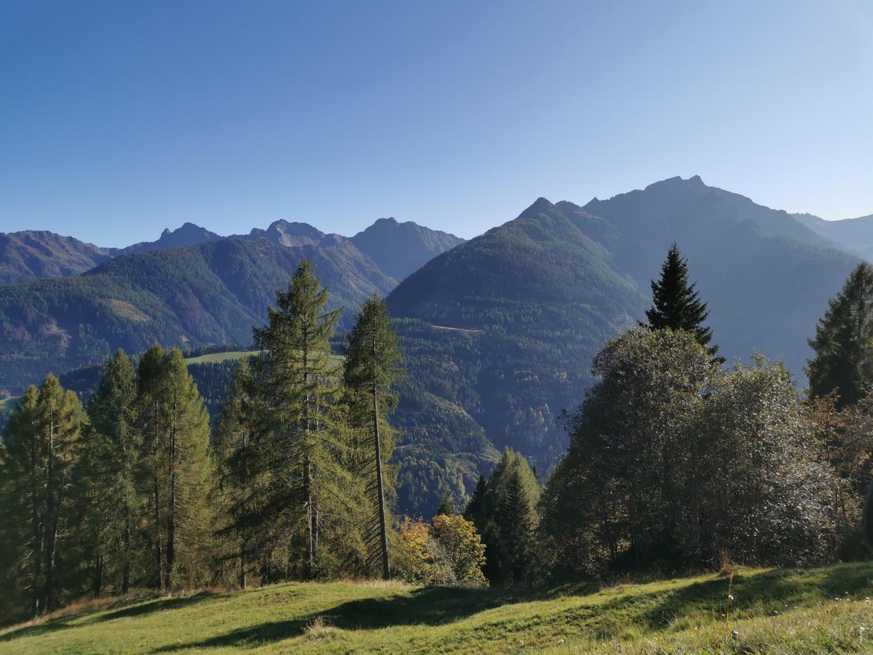 Das Wipferl - Dein Nest in den Bergen