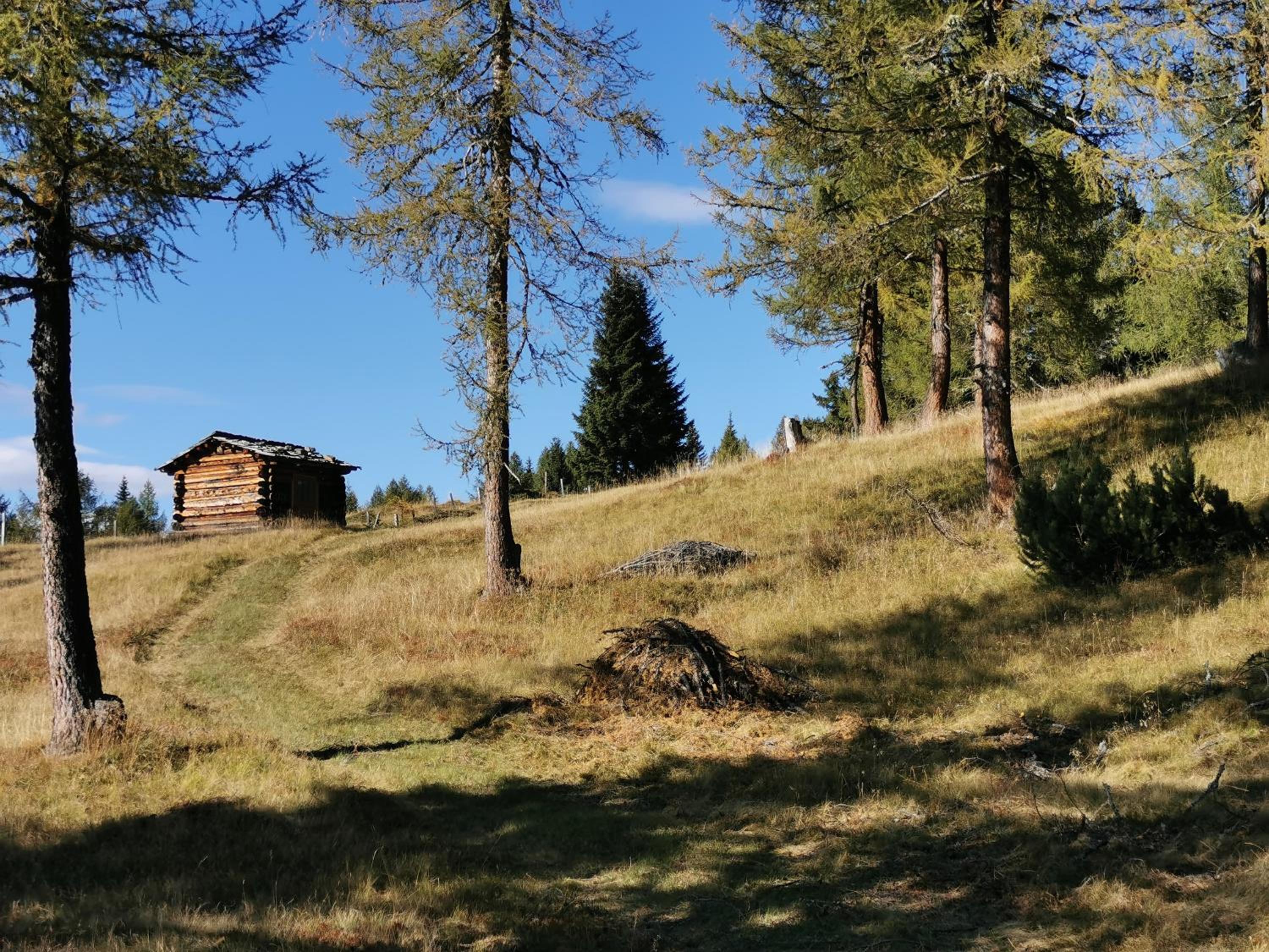Das Wipferl - Dein Nest in den Bergen