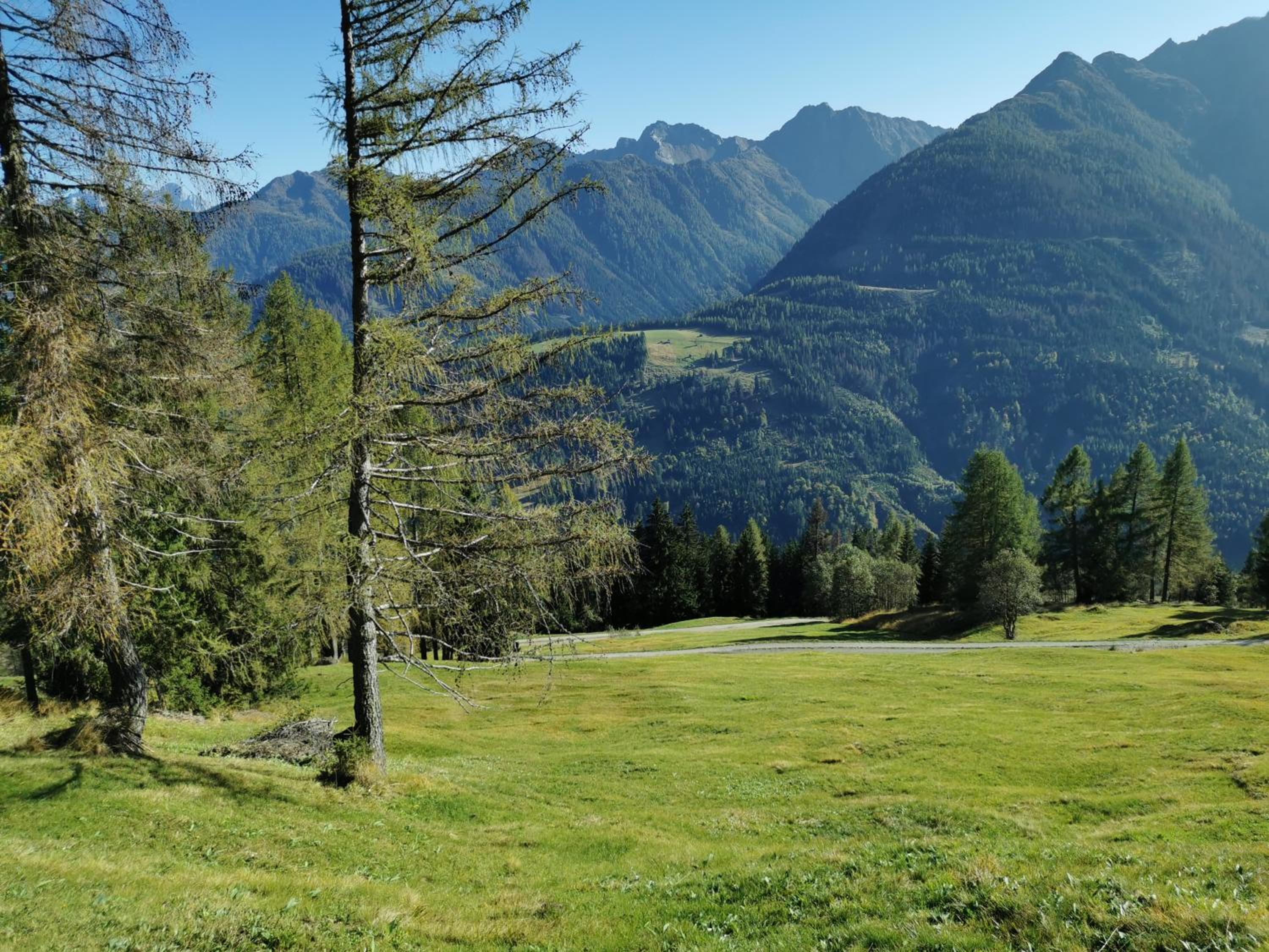 Das Wipferl - Dein Nest in den Bergen