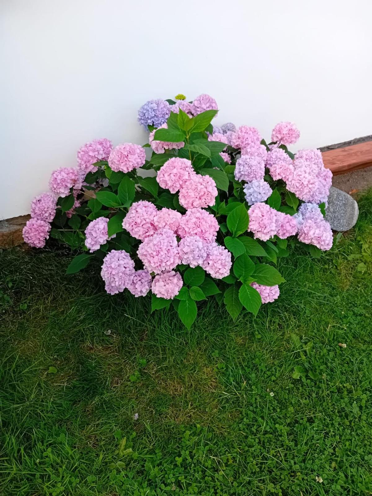Apartmán pod Boubínem