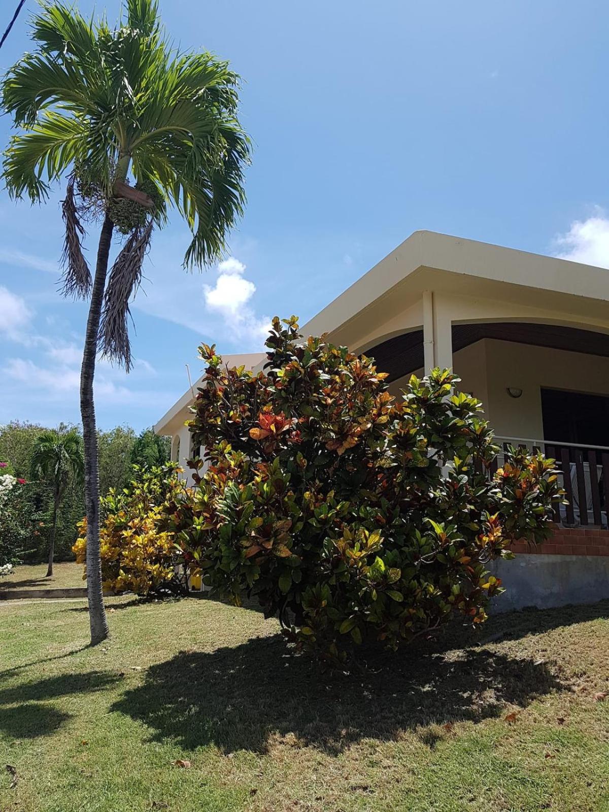 Villa Macabou Bien-Etre view 4