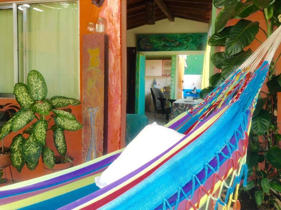 Apartamento-Galería de arte Cielo y Tierra