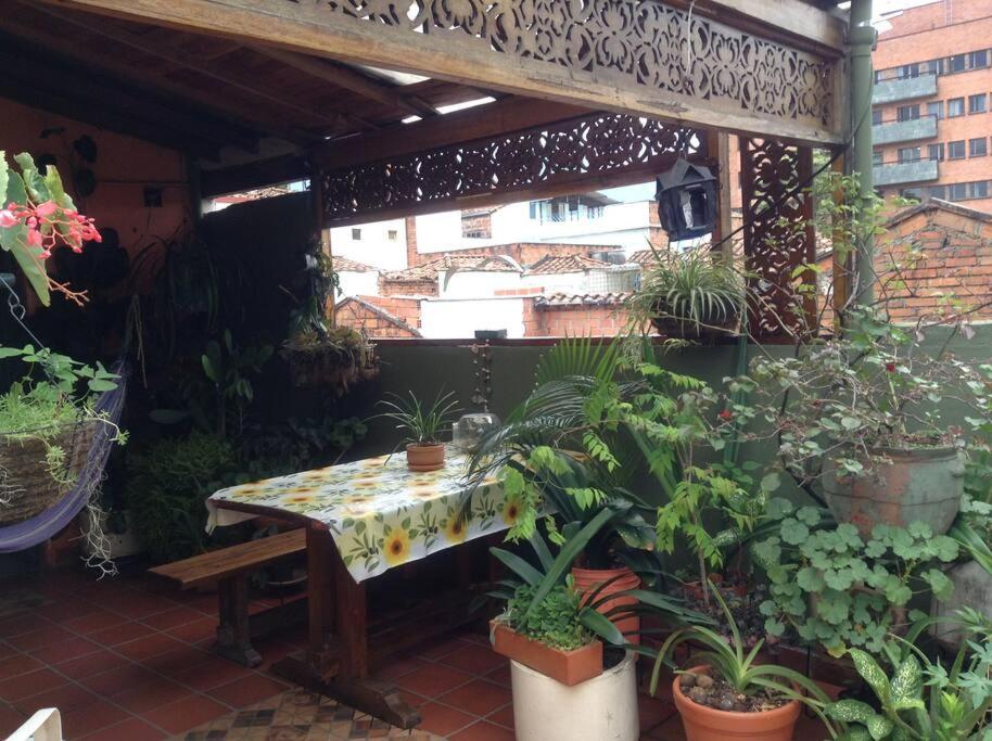 Apartamento-Galería de arte Cielo y Tierra