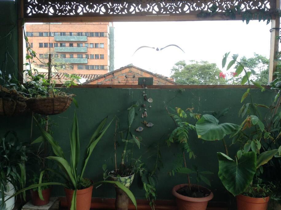Apartamento-Galería de arte Cielo y Tierra