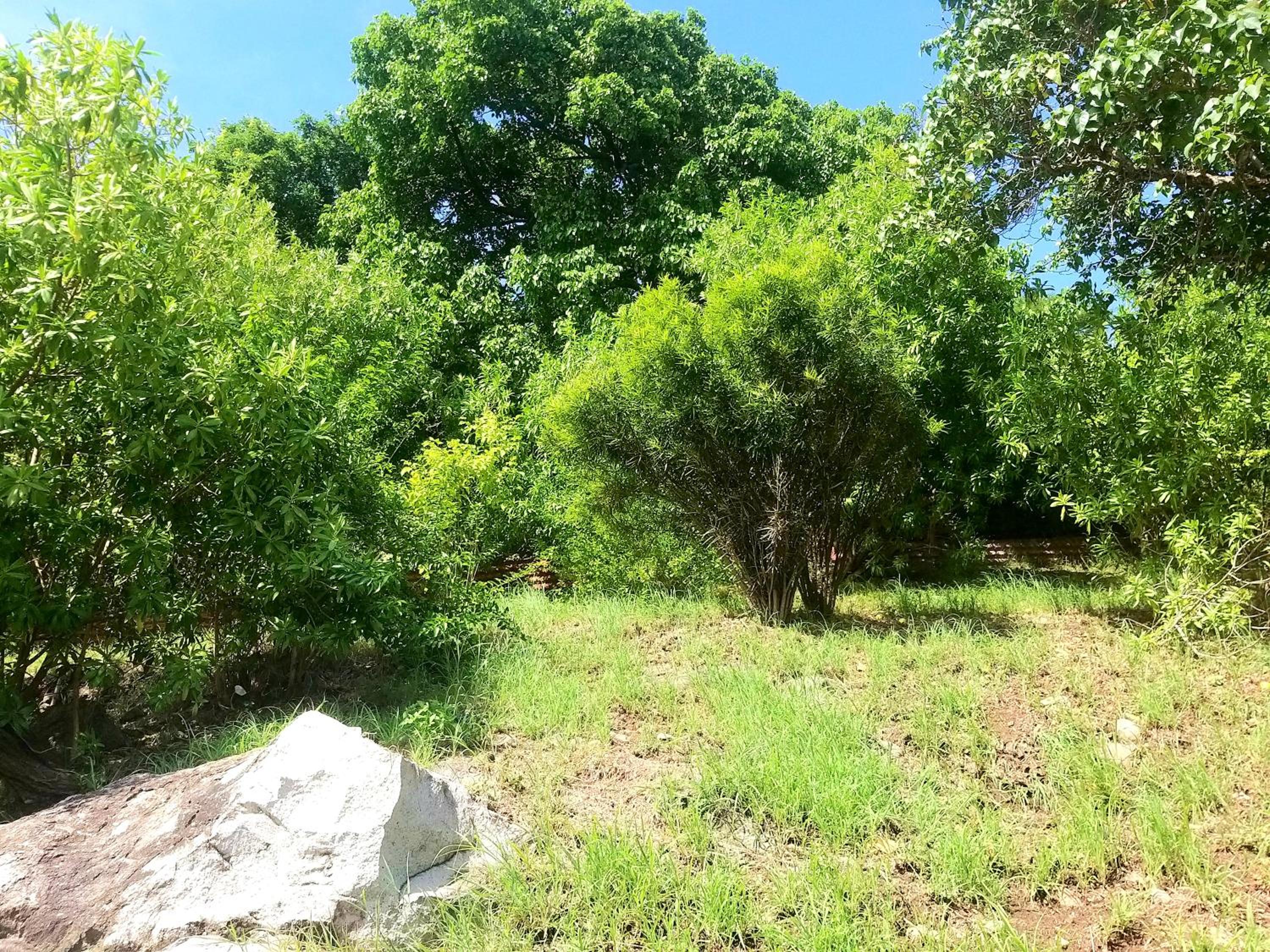 Photo 19
