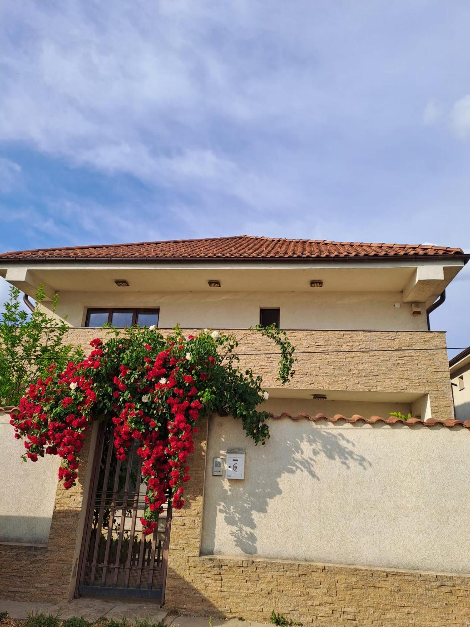 Casa verde 1