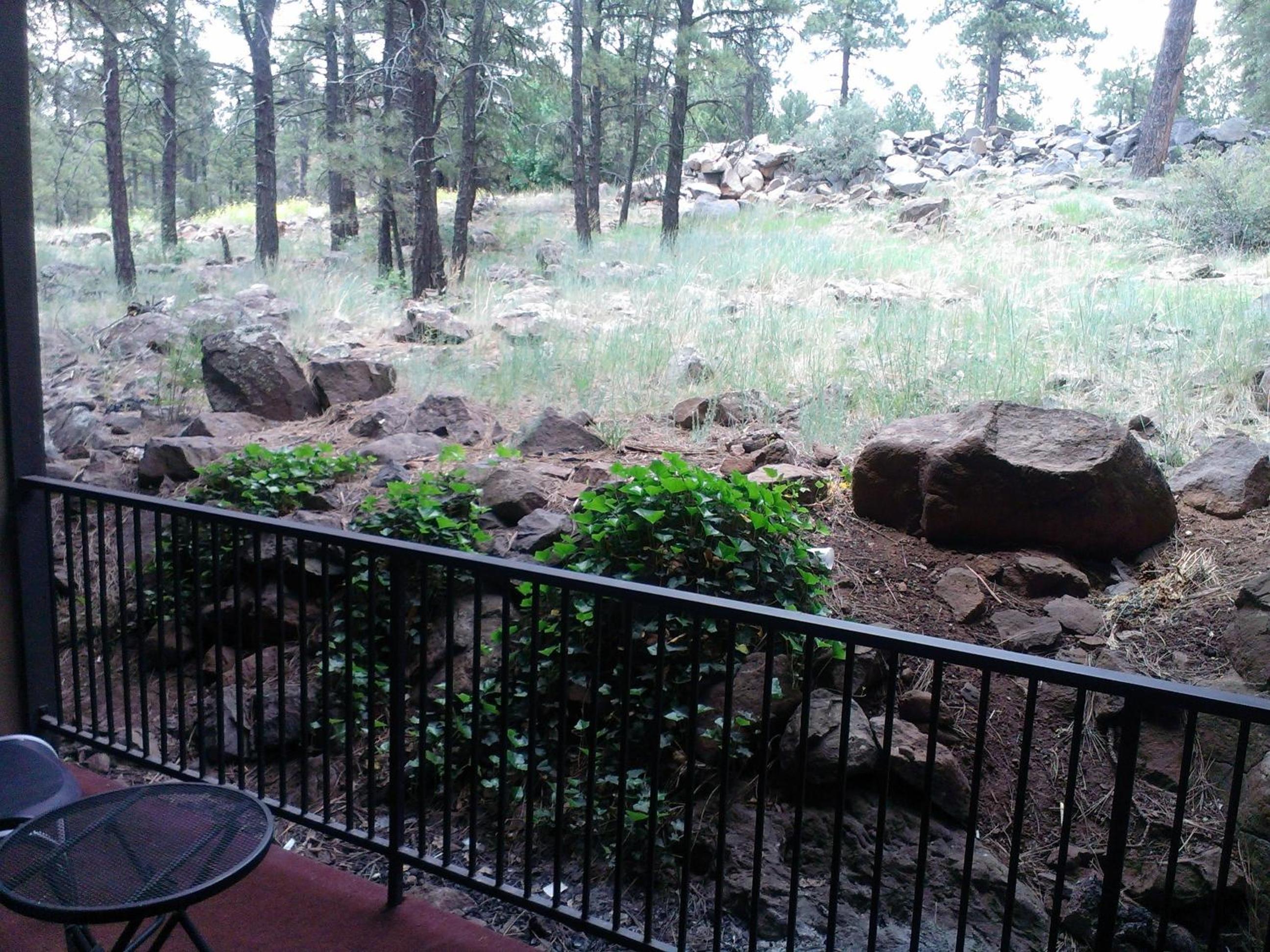 Motel In The Pines - Property Image 23