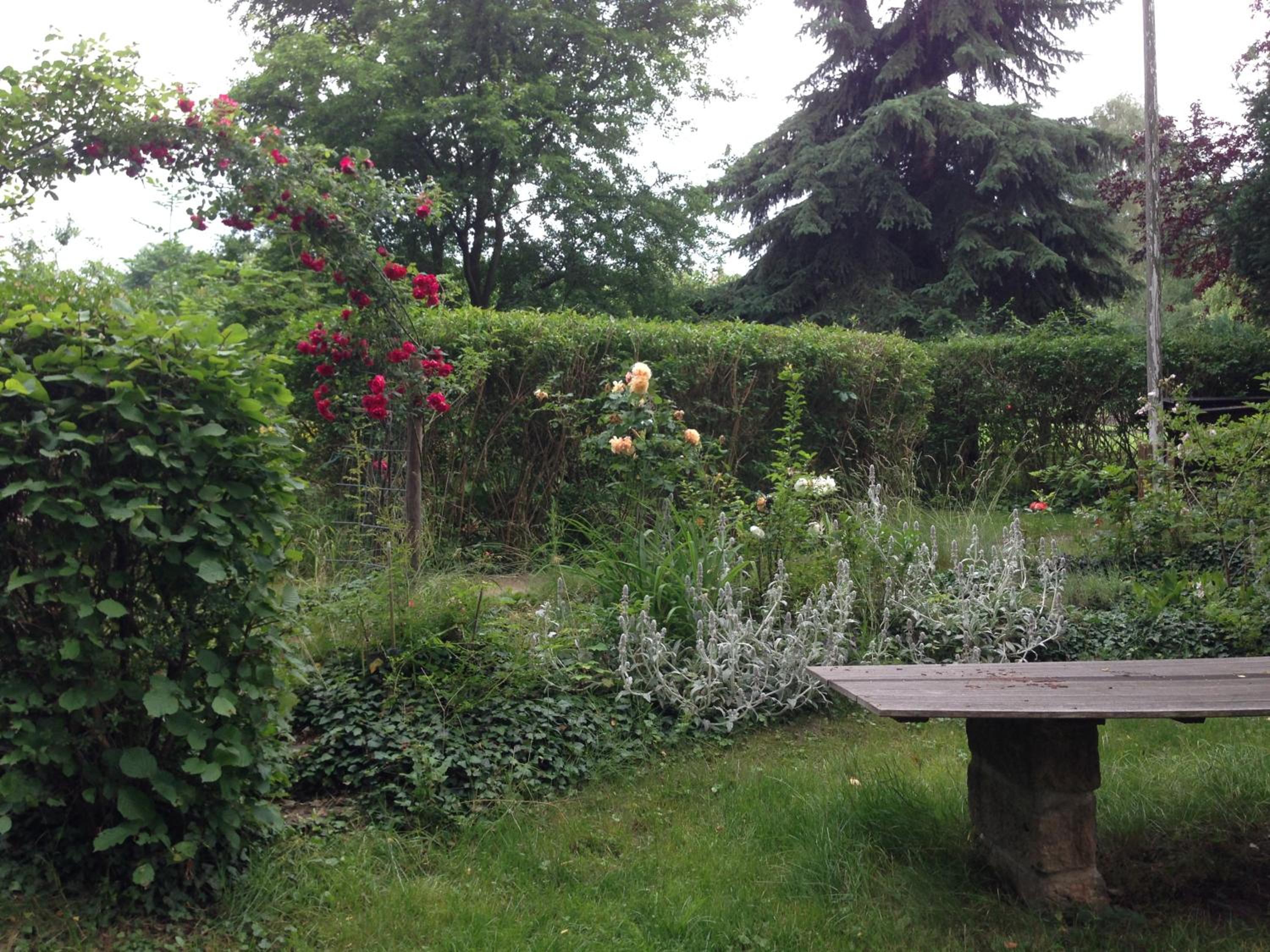 Photo 19