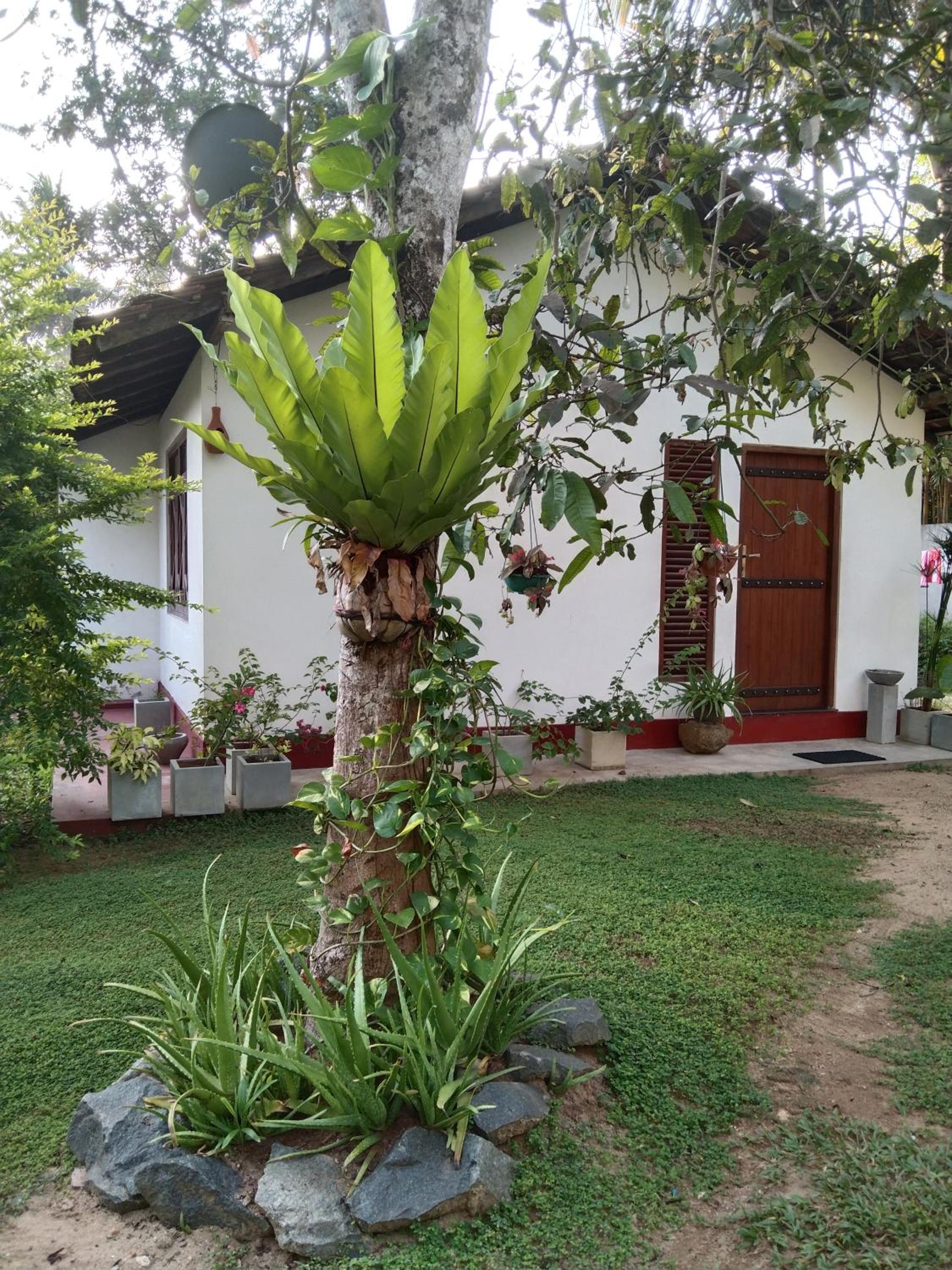 Rithu villa view 5