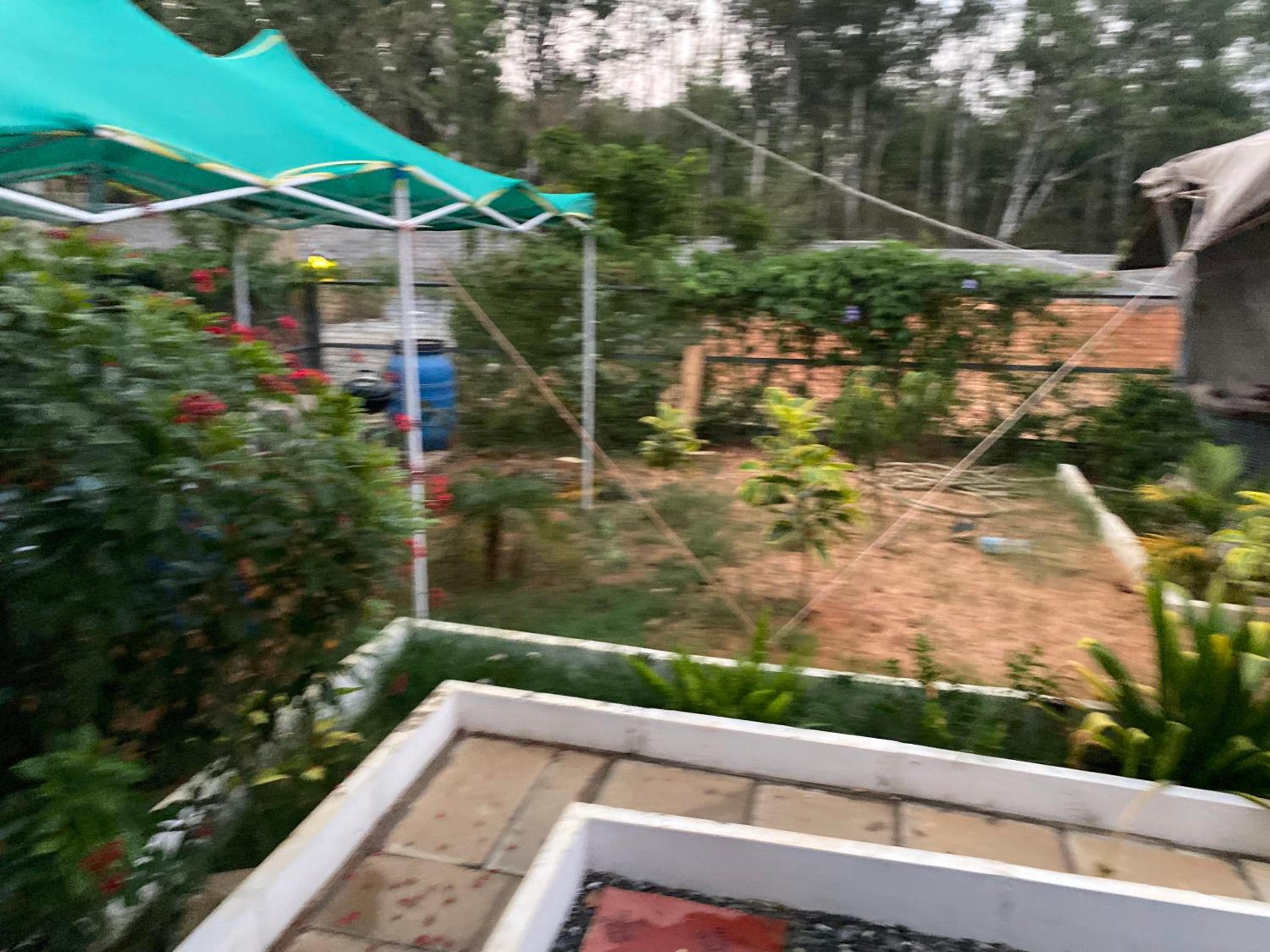 SilverlineCloudCottage