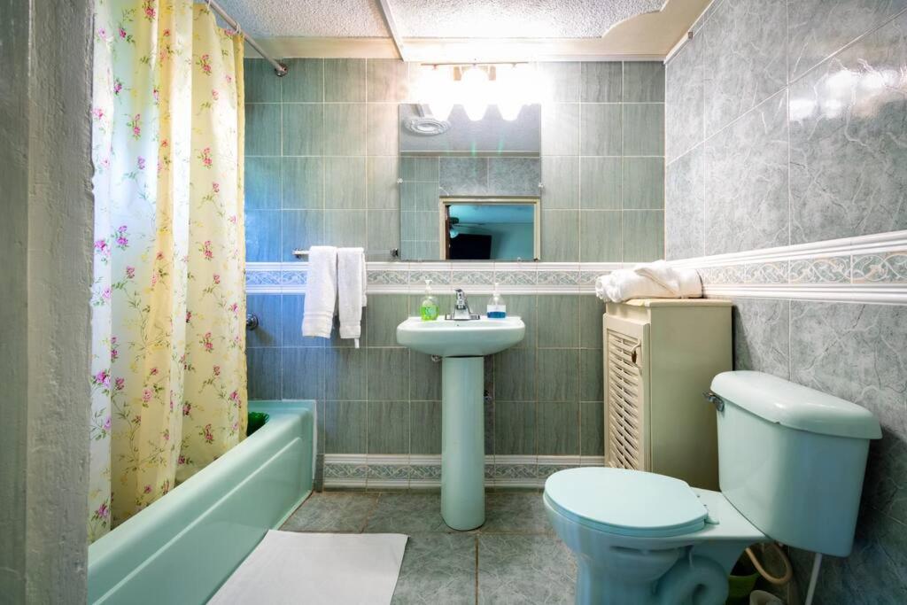 Cozy Locale Pearl