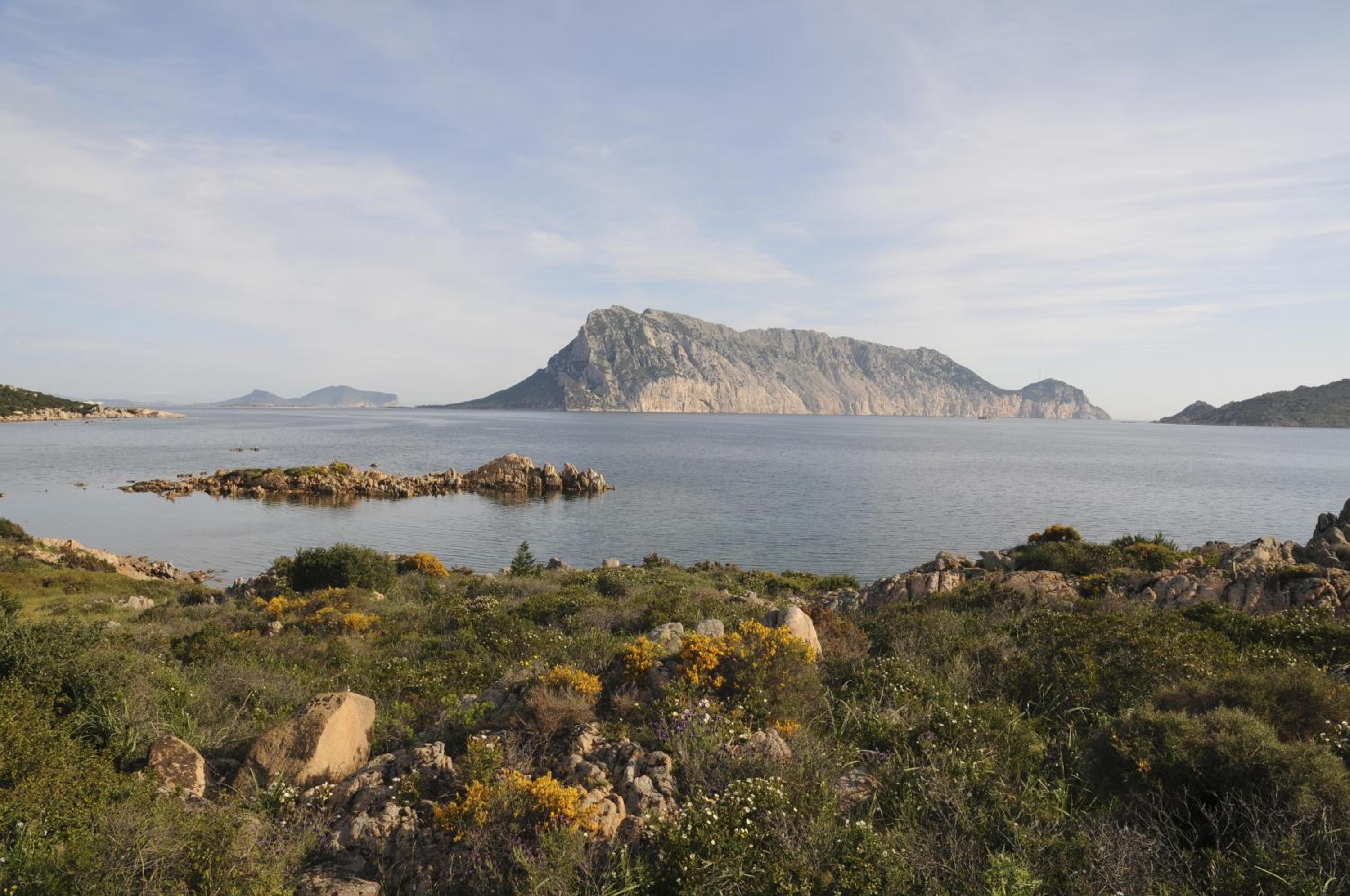 Bandi en San Teodoro — other