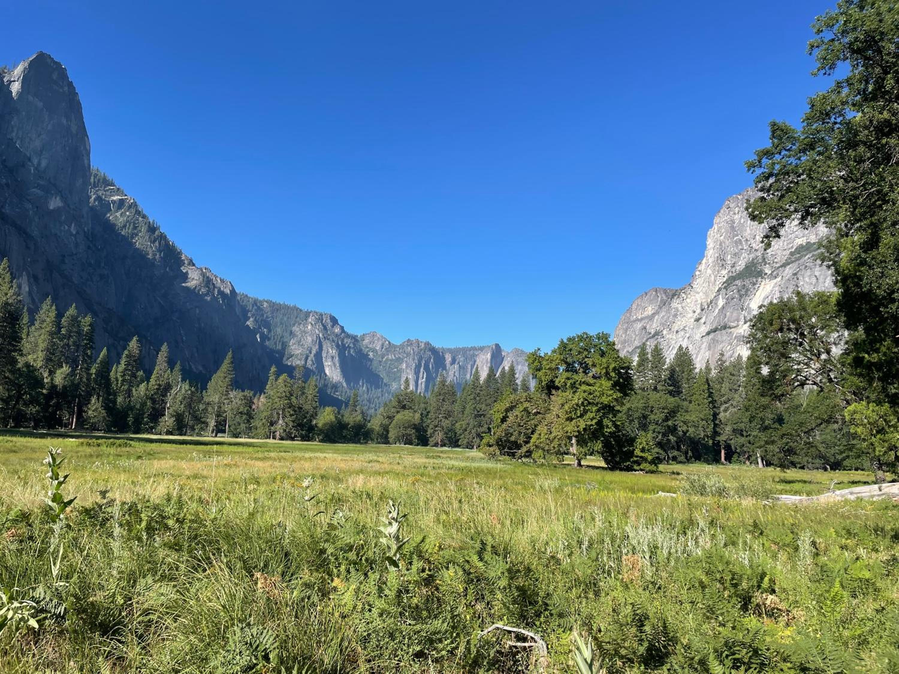 Stewart Chalet @ Yosemite/Bass Lake view 5