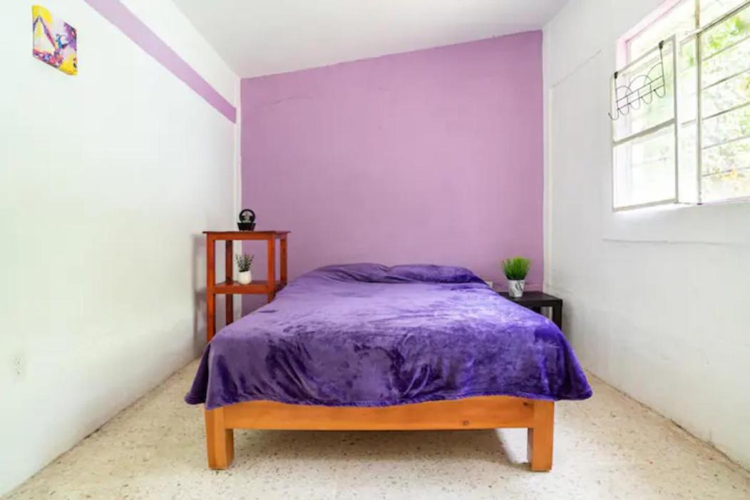 Photo 45