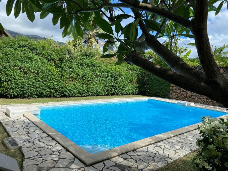 Relax in apt close to ocean & museum view 4