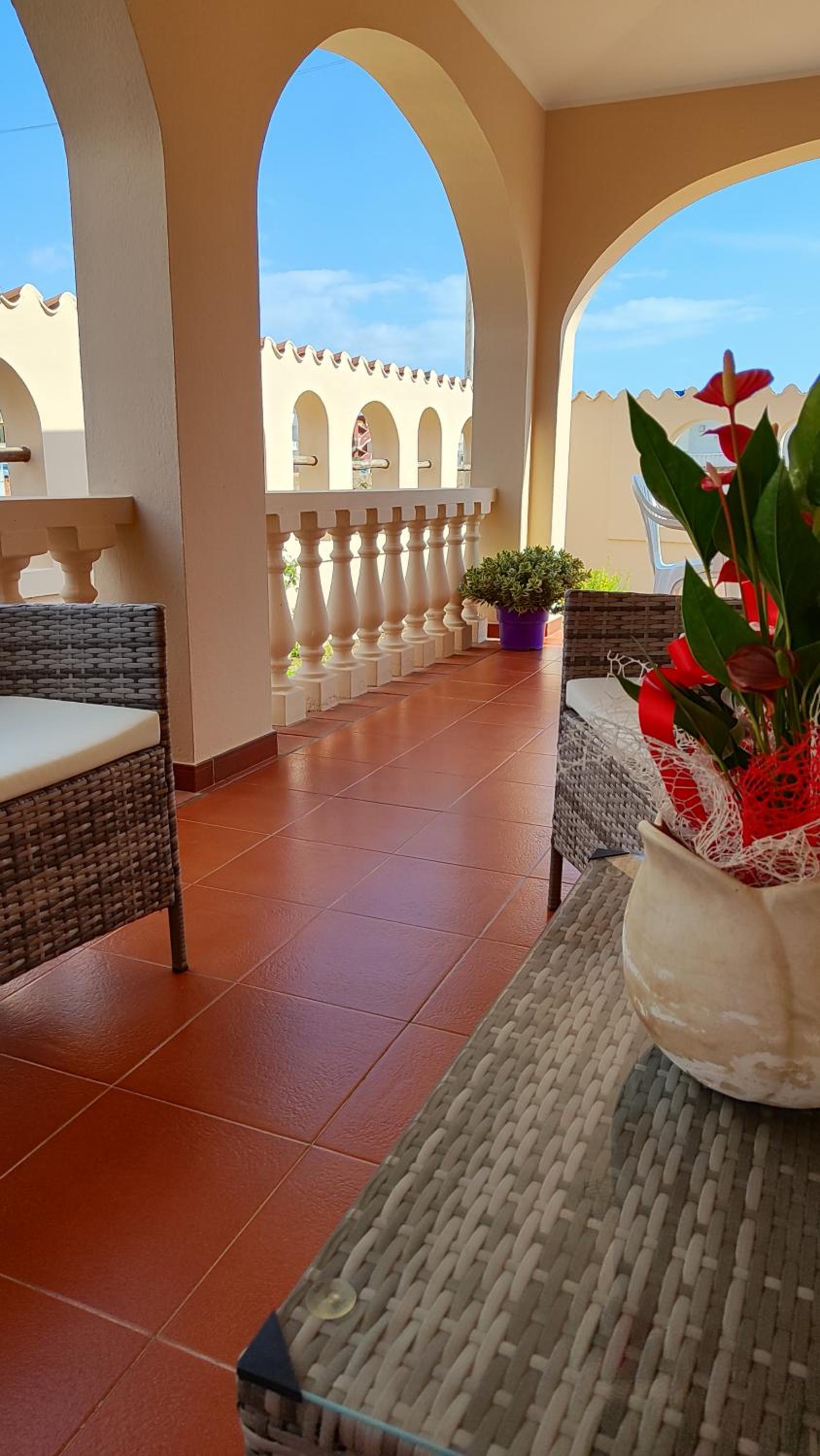 balance & terrace