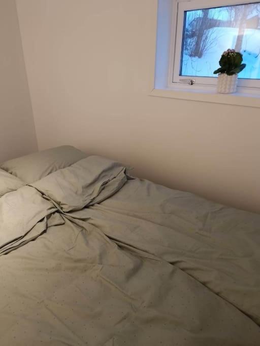 Cozy apartment close to downtown view 2