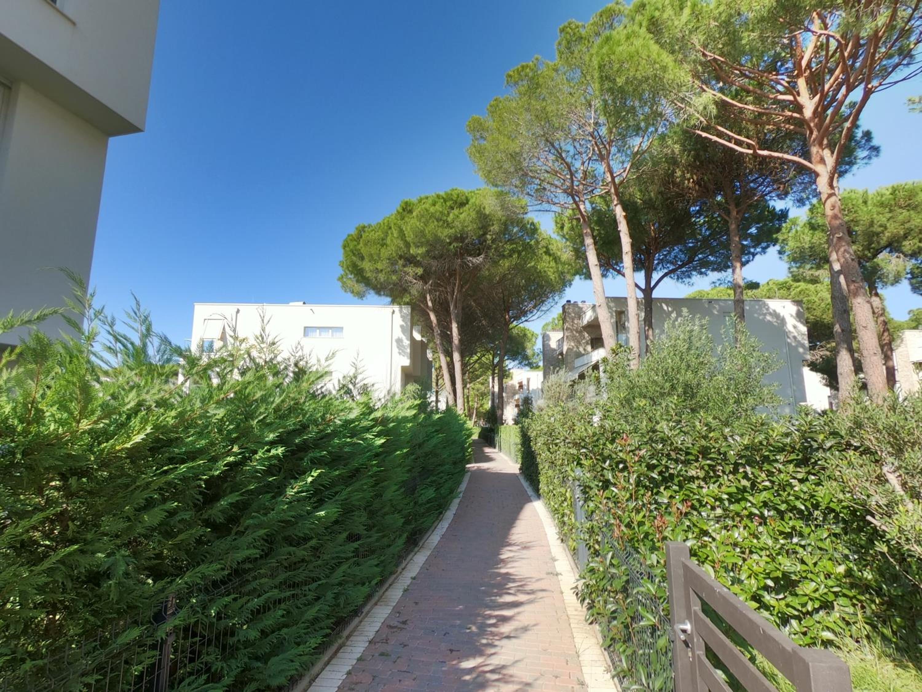 Pinegrove Apartment