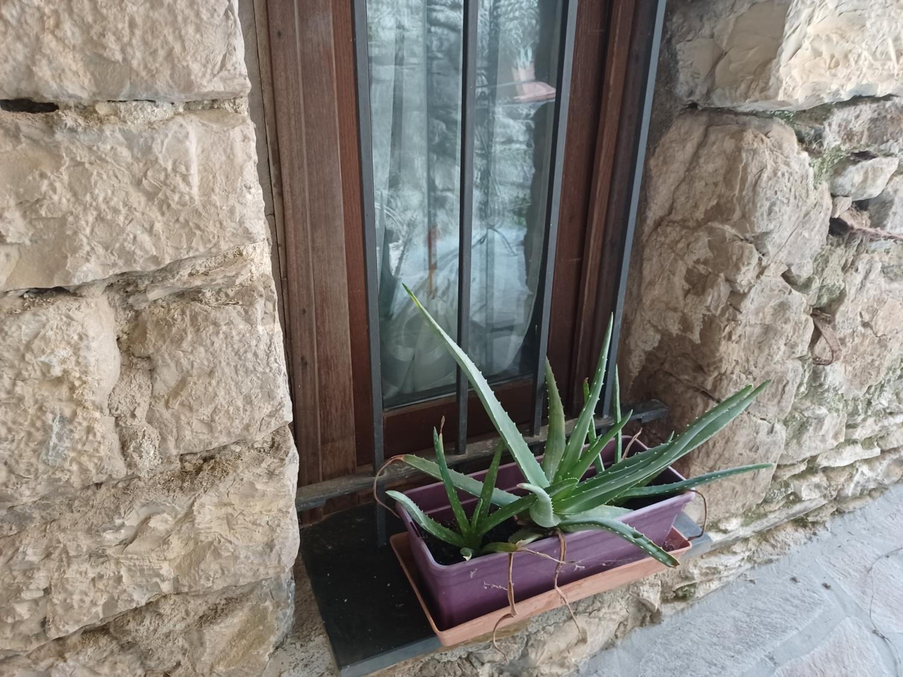 Il Fontolo