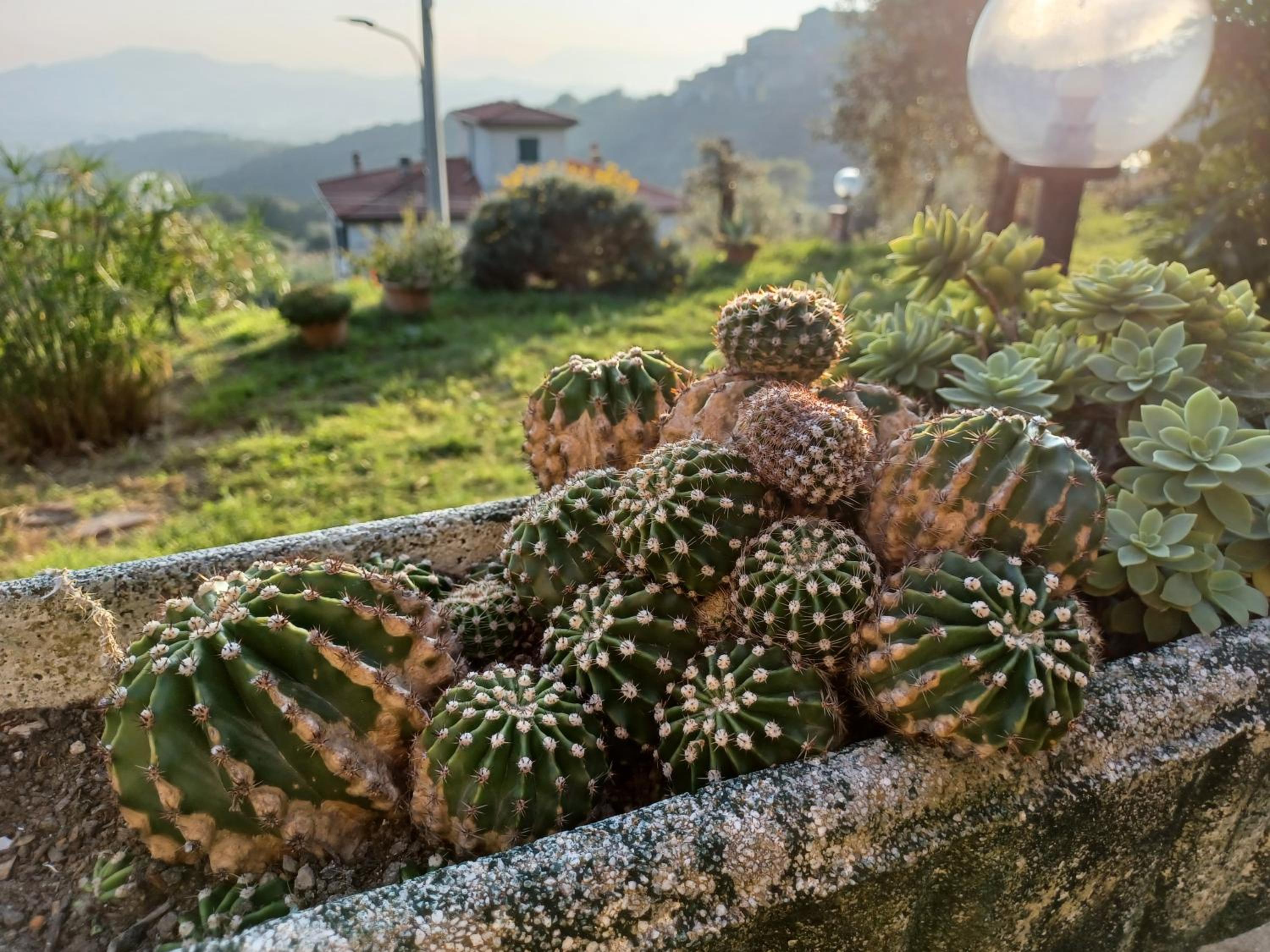 Il Fontolo