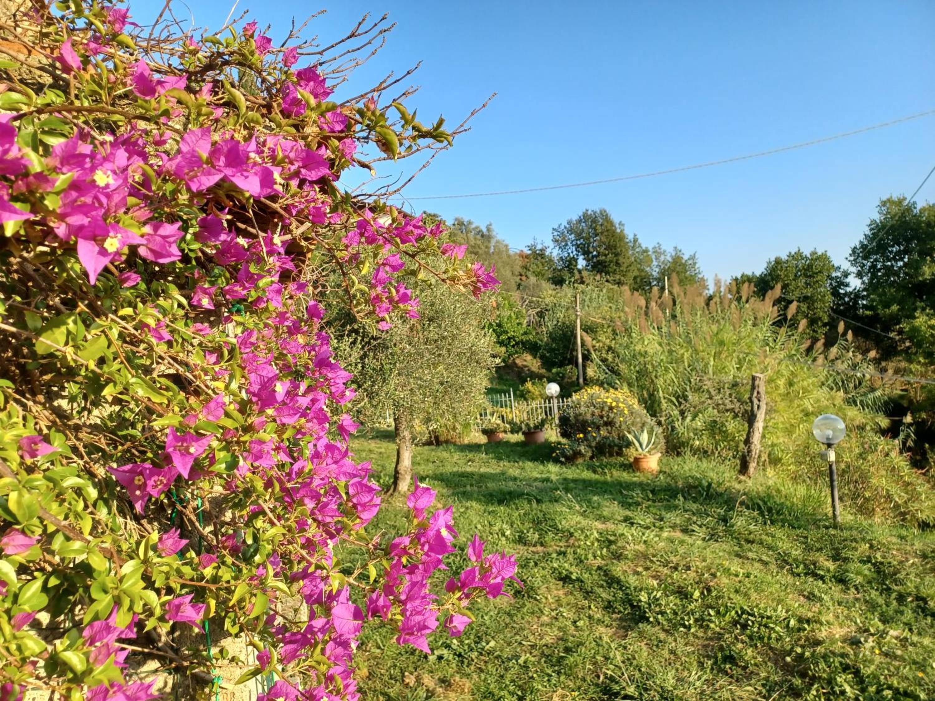 Il Fontolo
