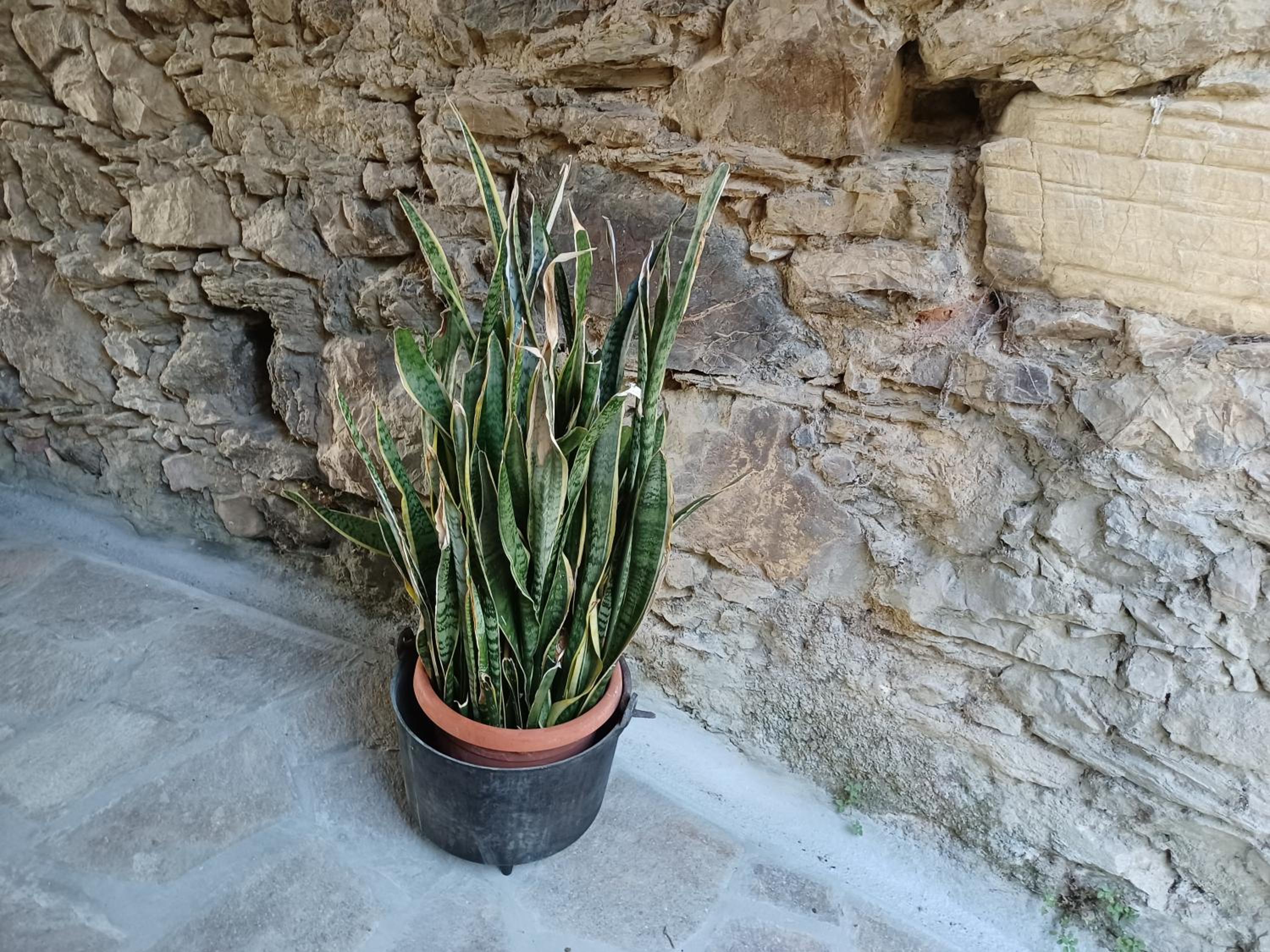 Il Fontolo