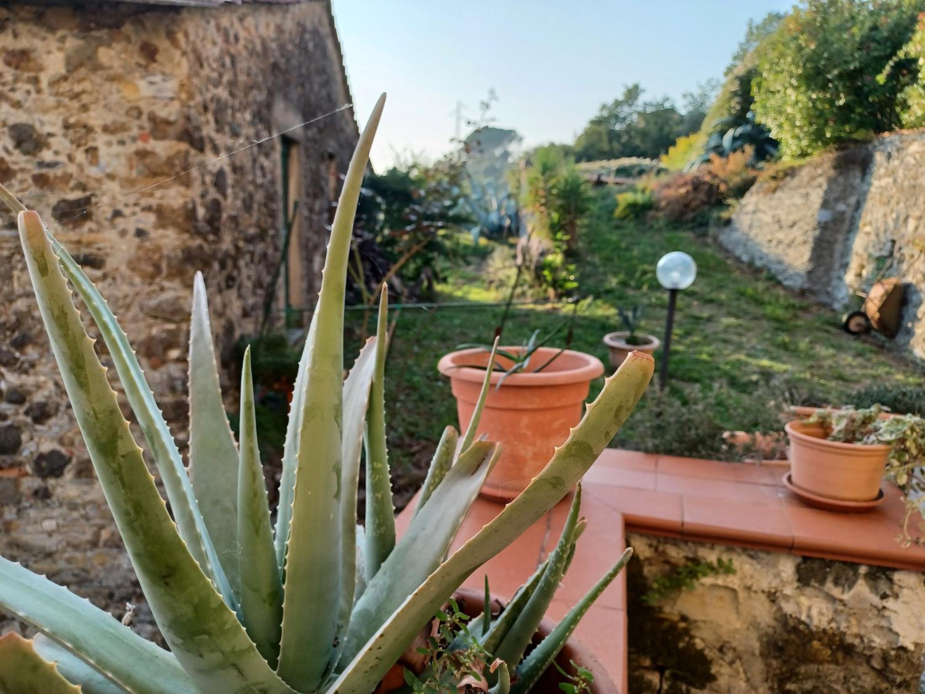 Il Fontolo