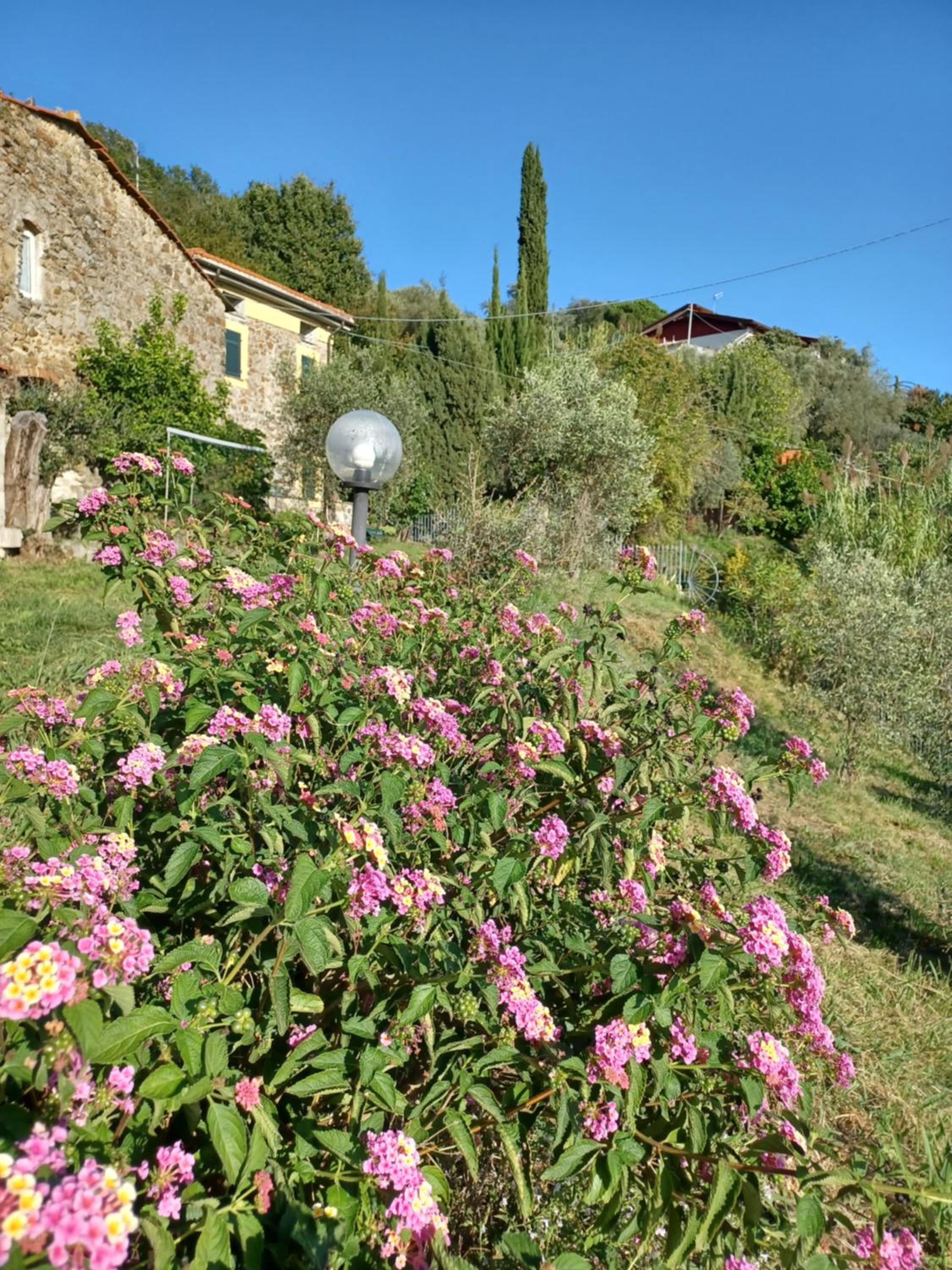 Il Fontolo