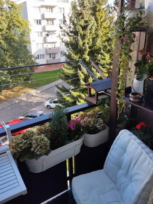 Zlín apartmán