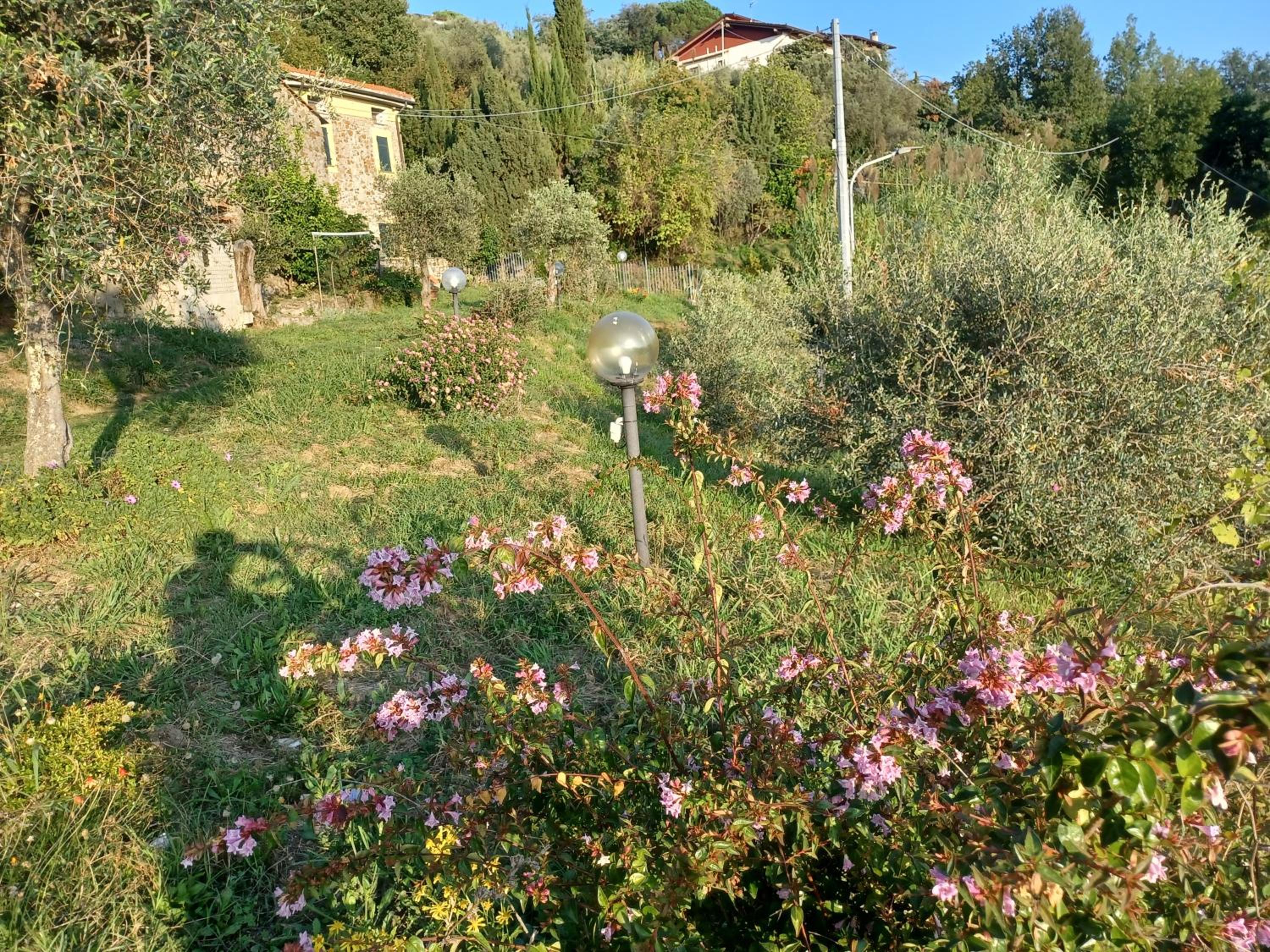 Il Fontolo