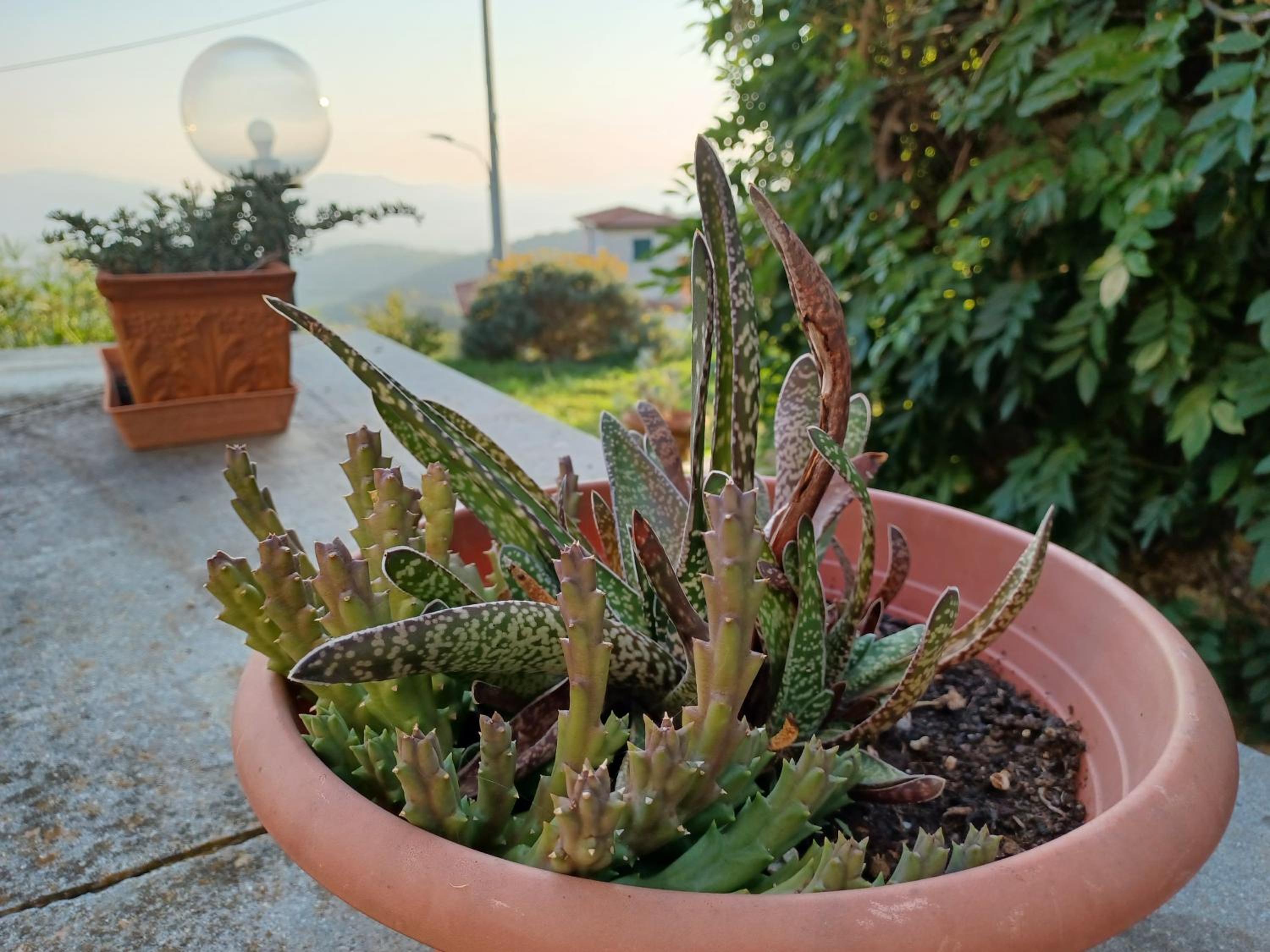 Il Fontolo