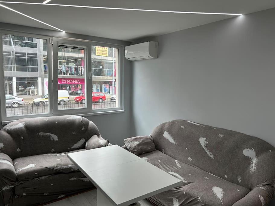 Paradise M Apartments